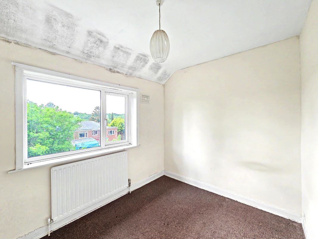 Image 10 of 16