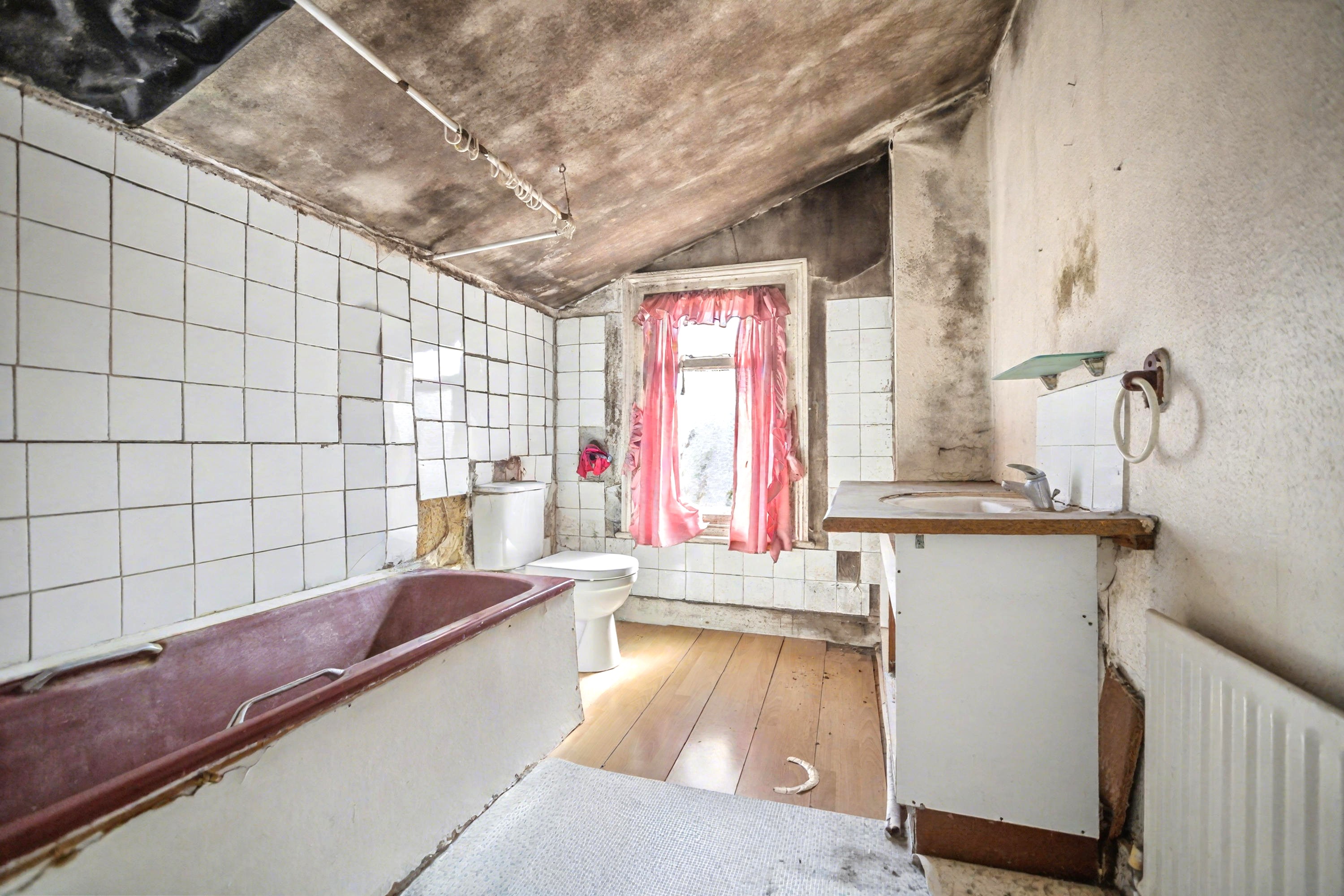 Image 11 of 13