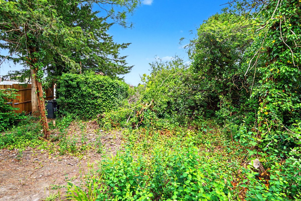 Image 17 of 20