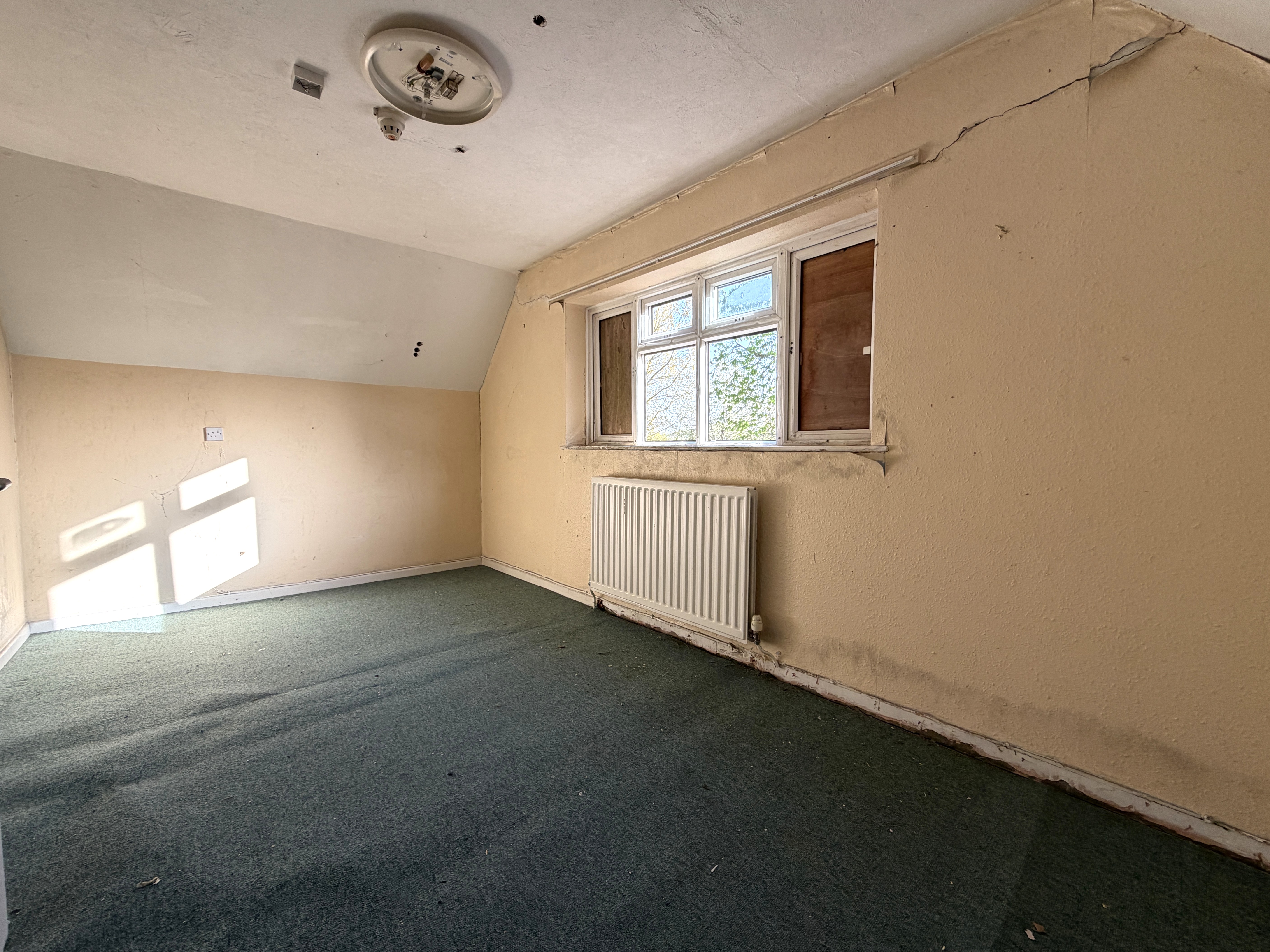 Image 10 of 19