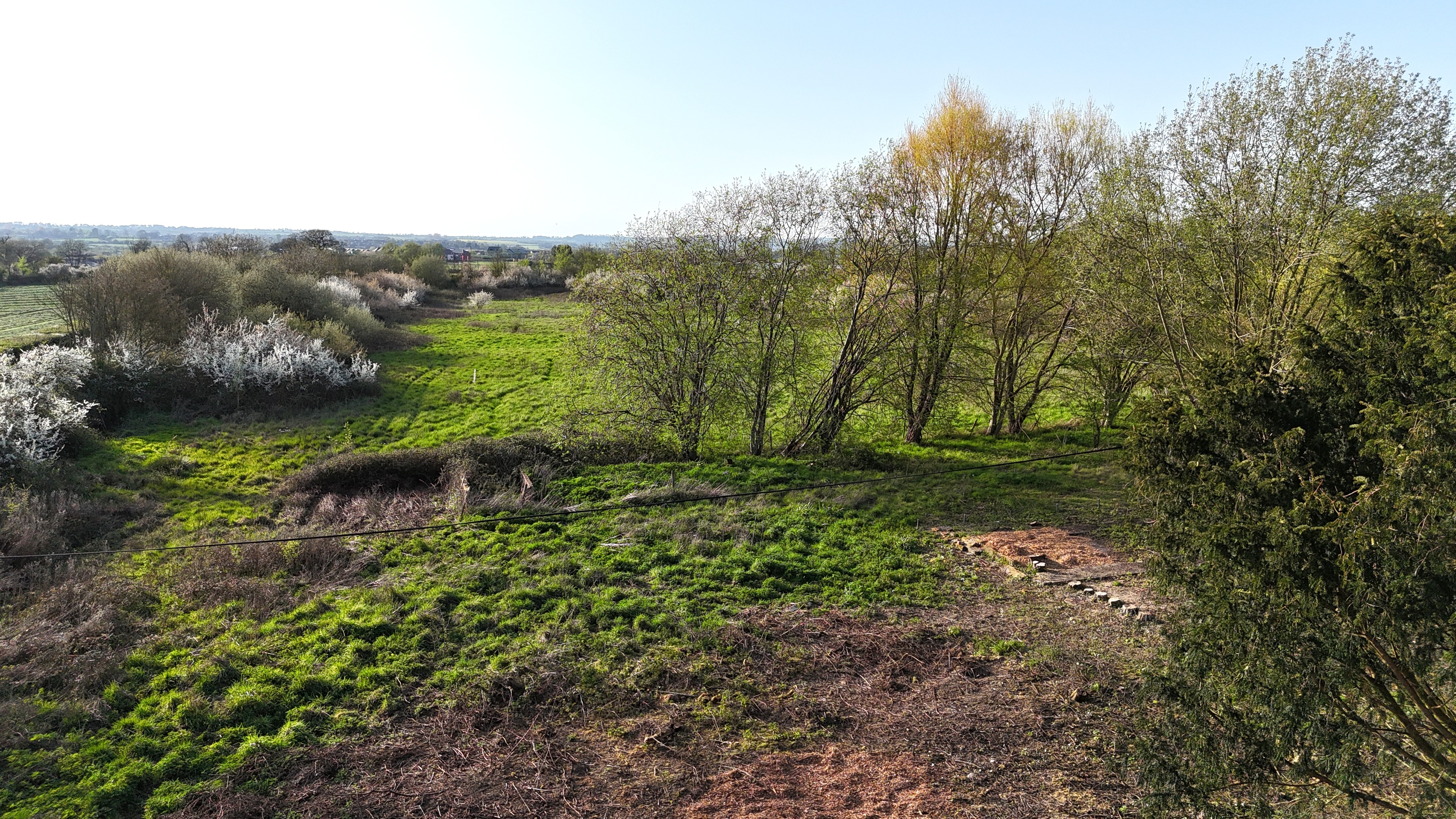 Image 18 of 19