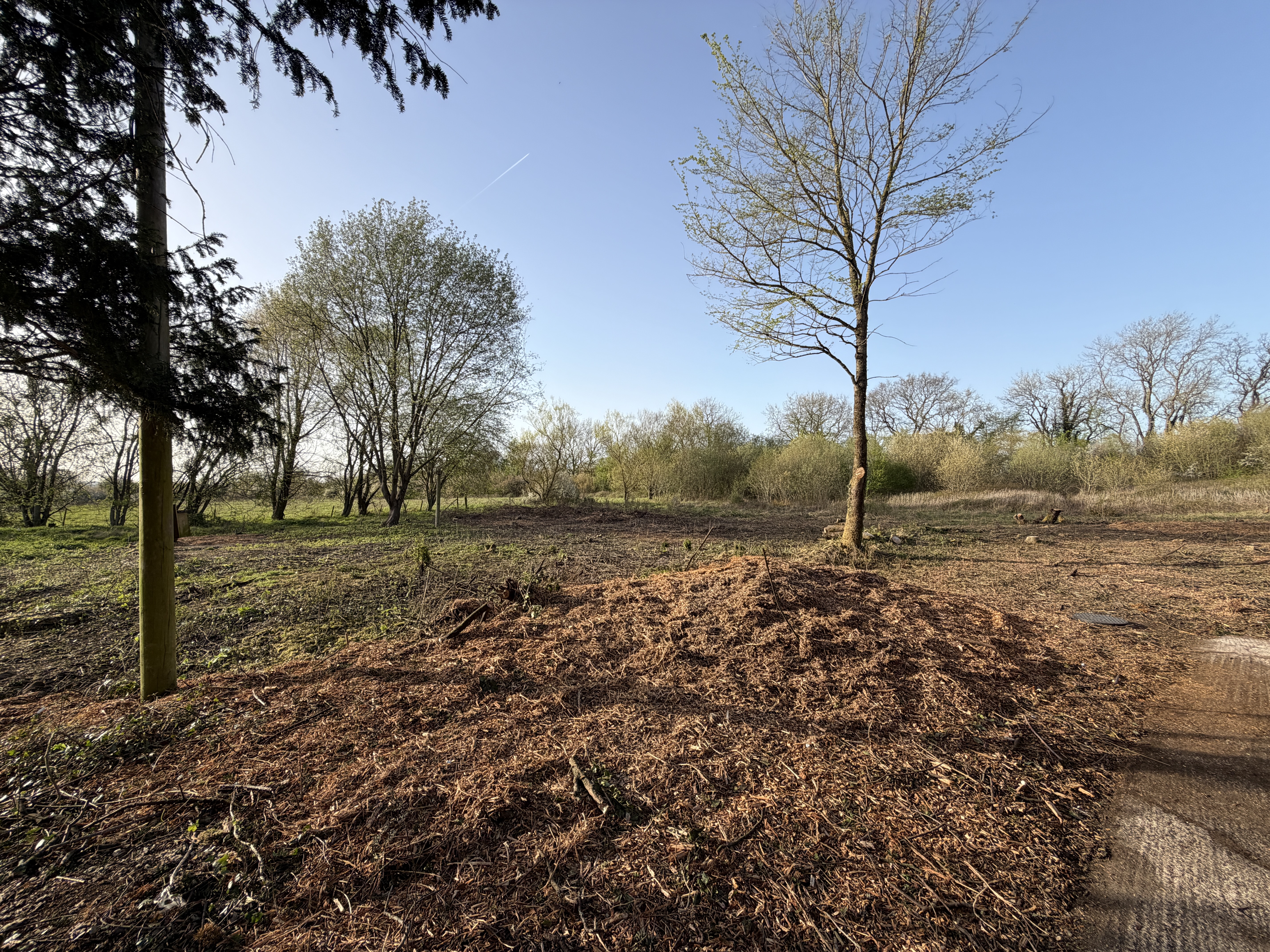 Image 19 of 19