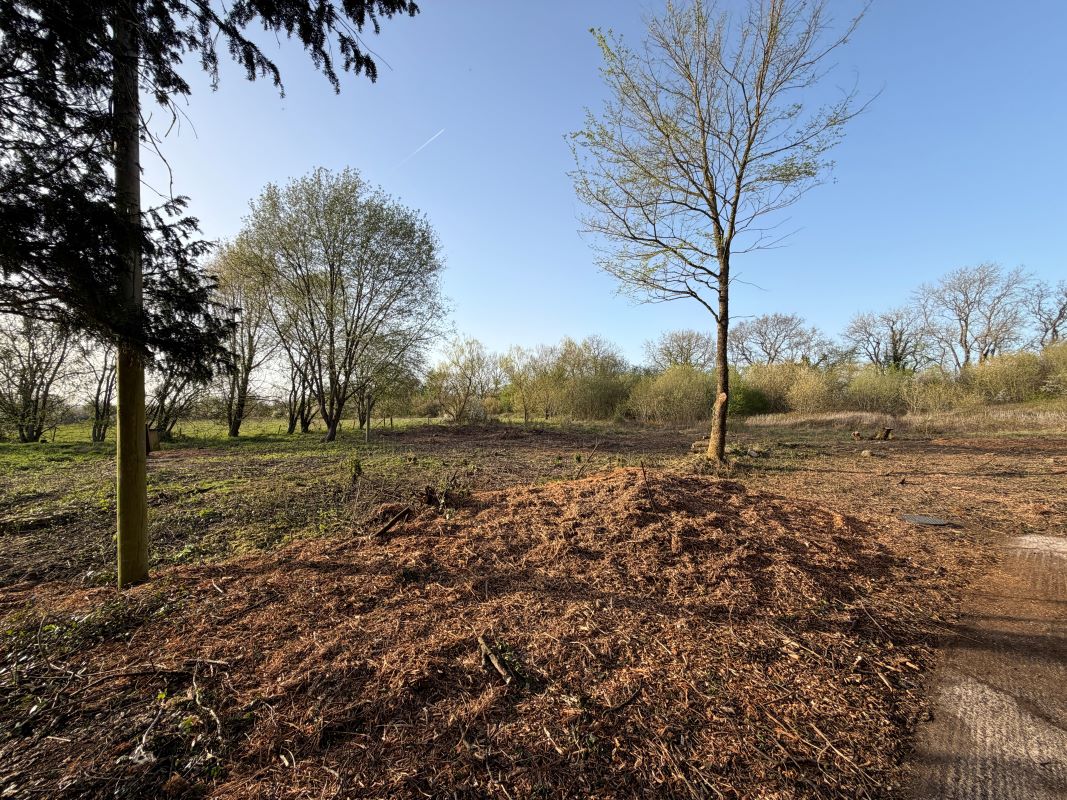 Image 19 of 19
