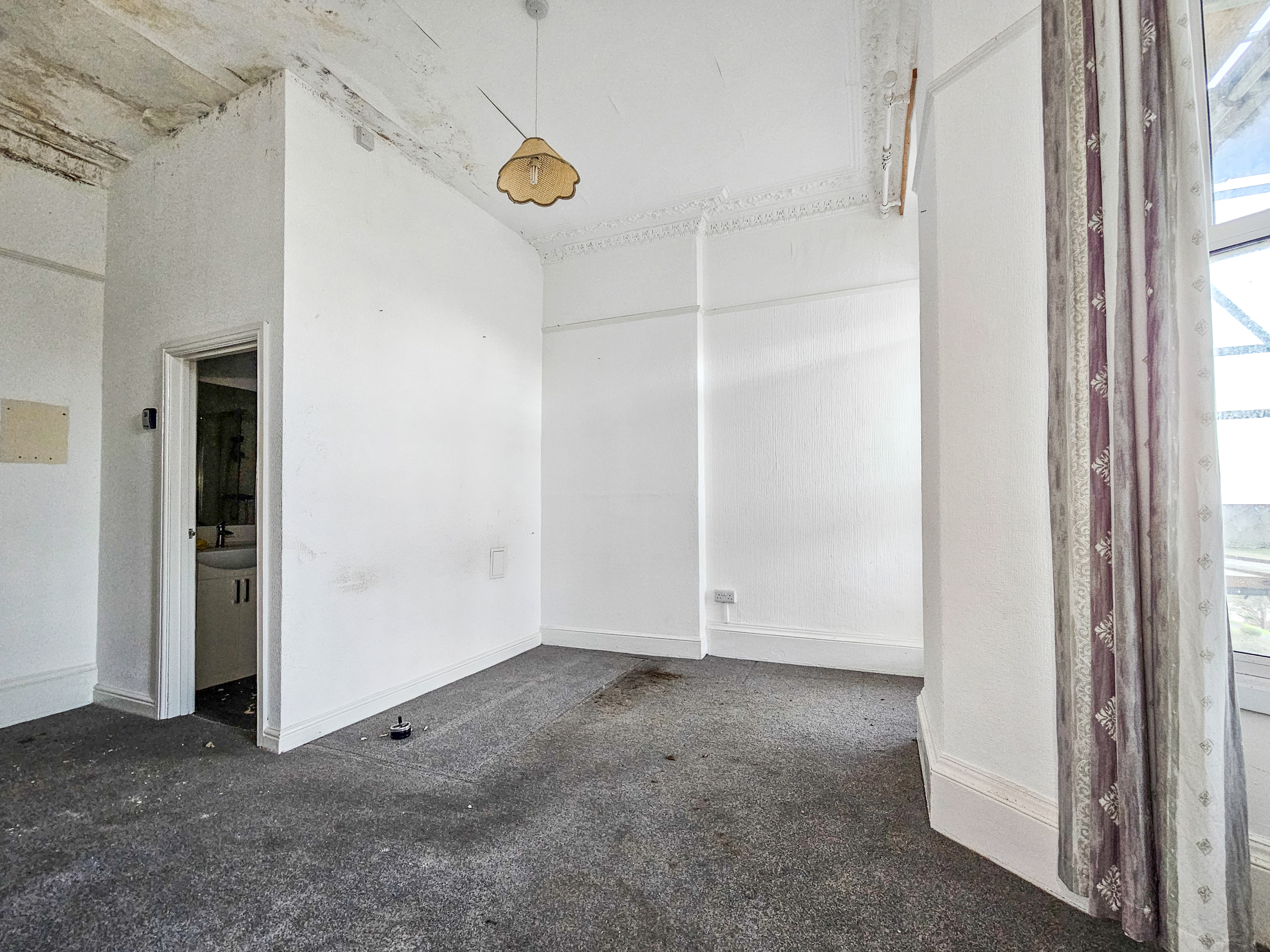 Image 7 of 19