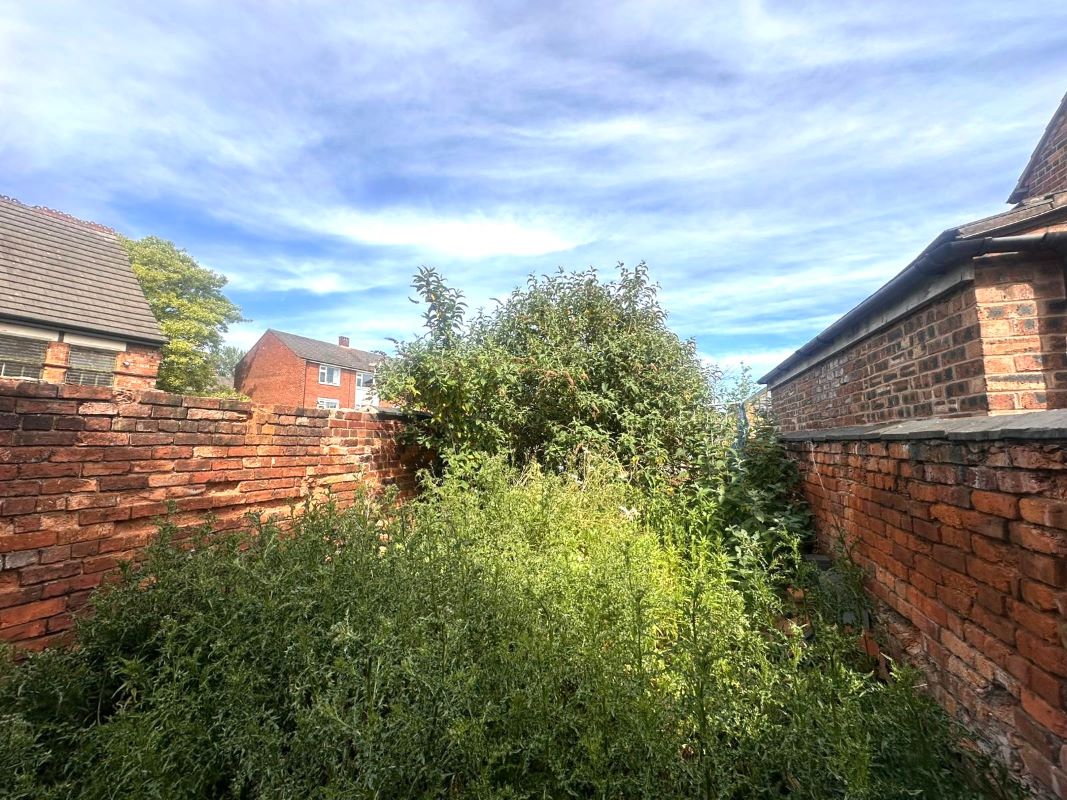 Image 13 of 13
