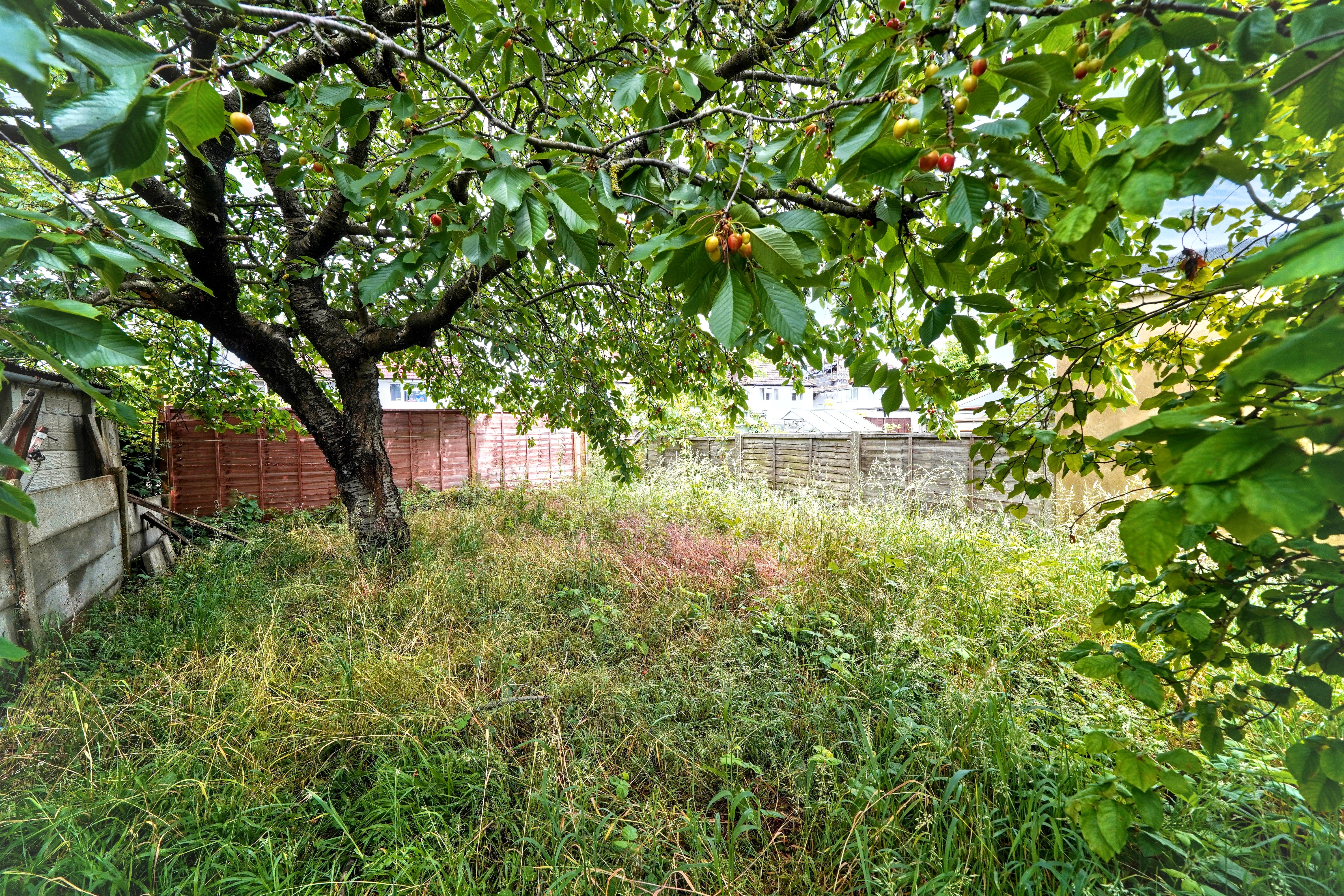 Image 22 of 23