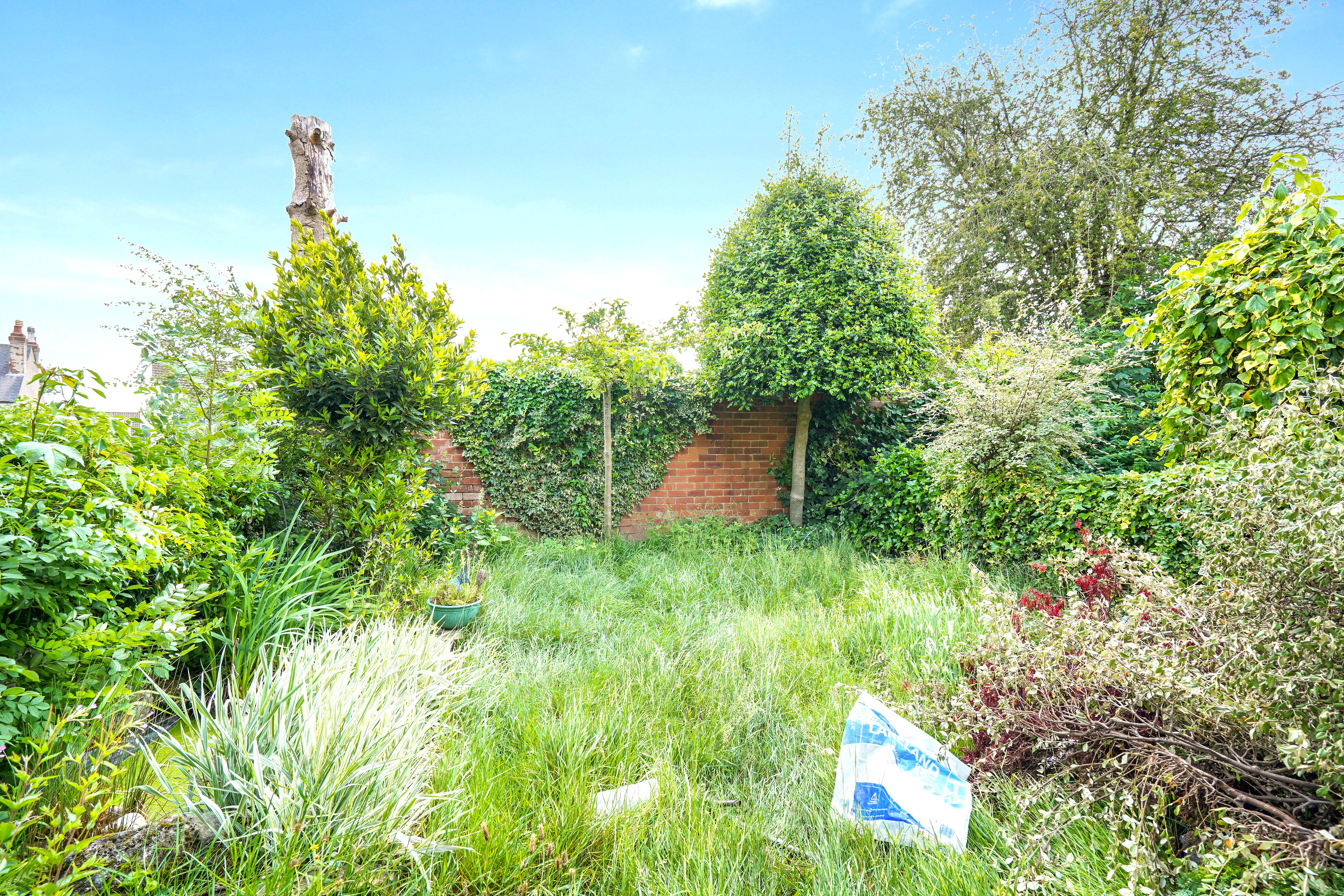 Image 17 of 19