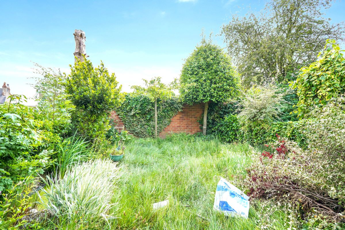 Image 17 of 19