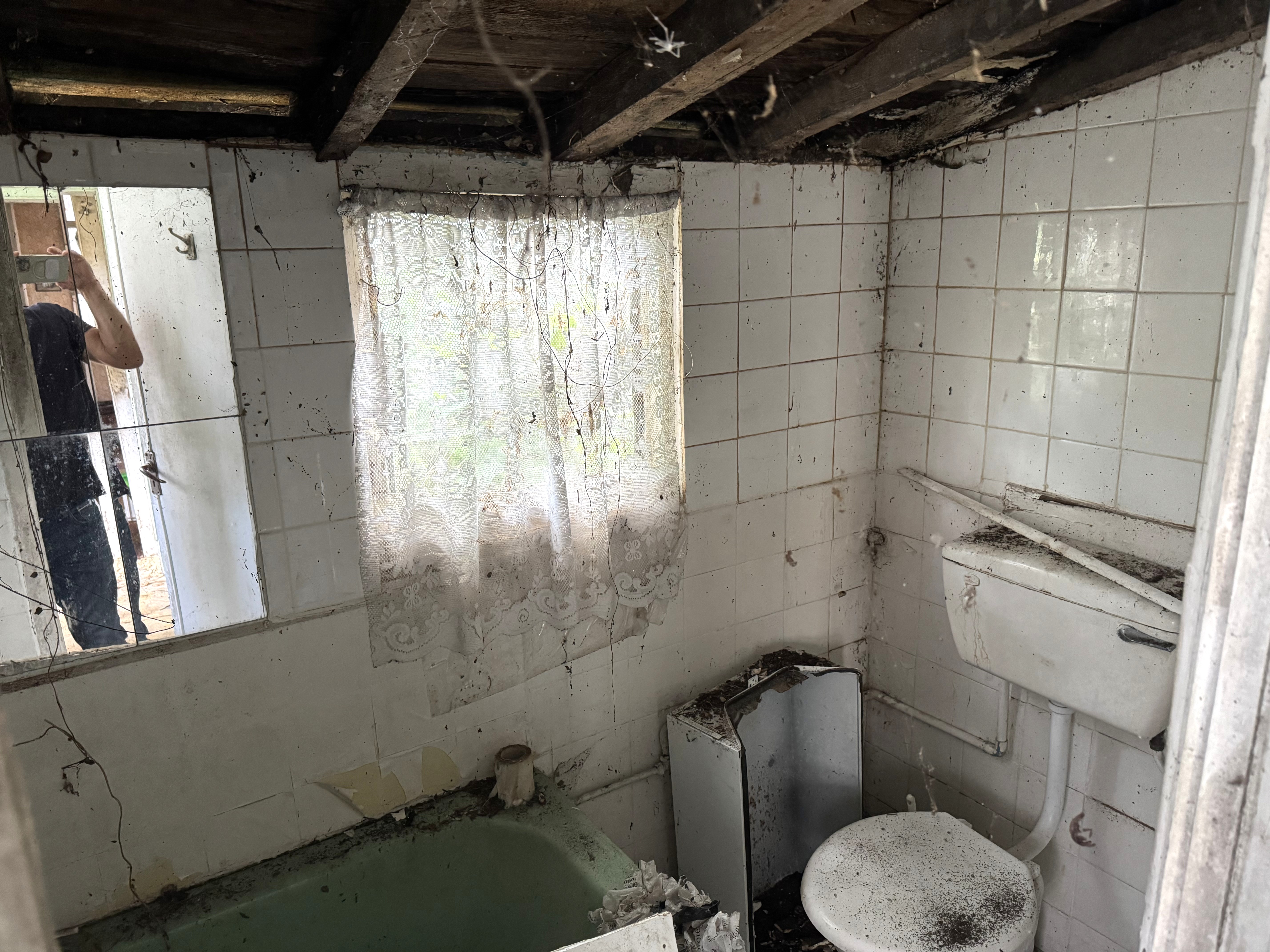 Image 8 of 8
