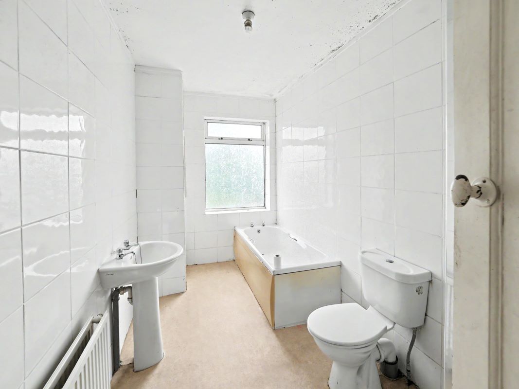 Image 12 of 17