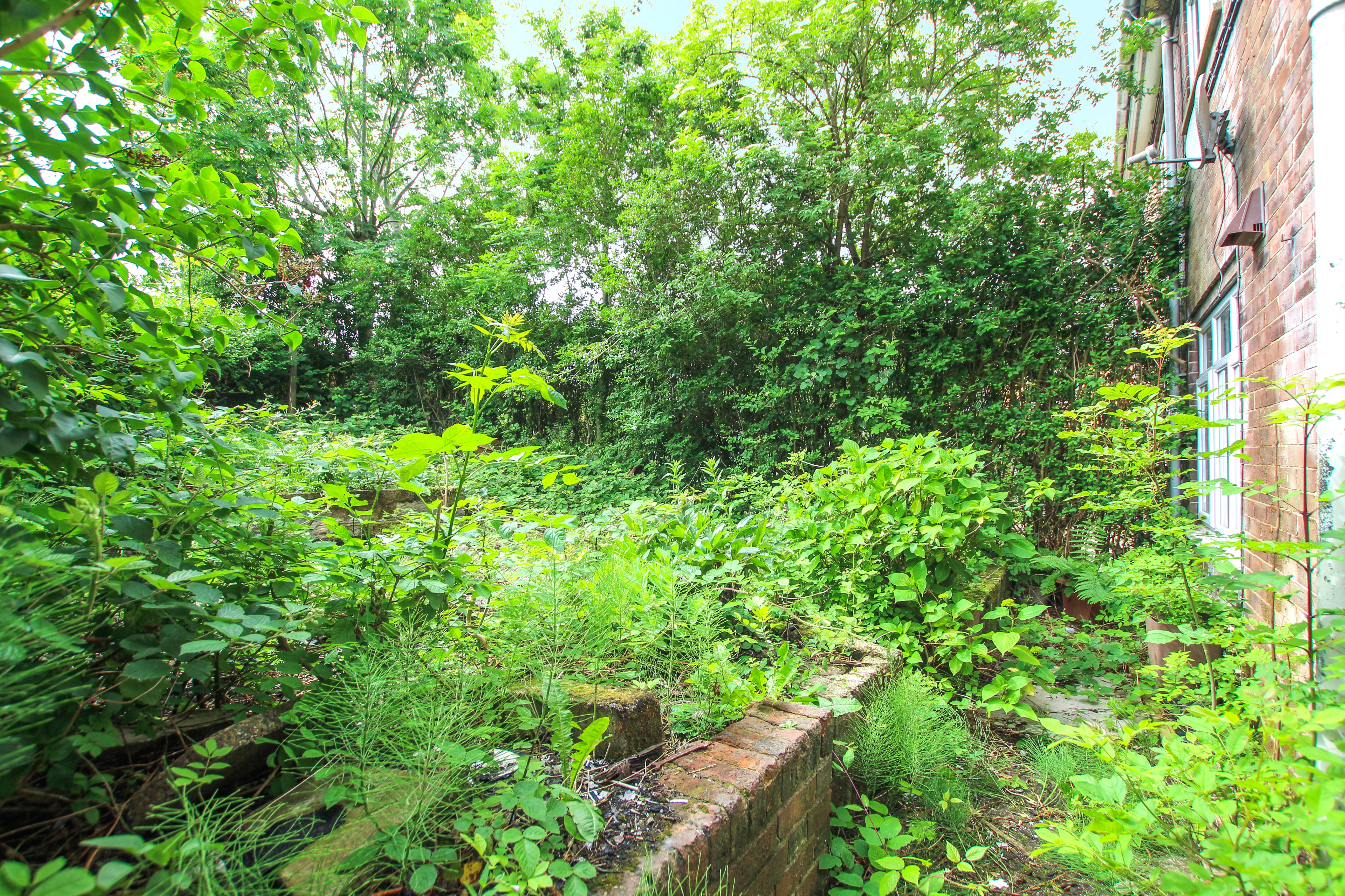 Image 15 of 17