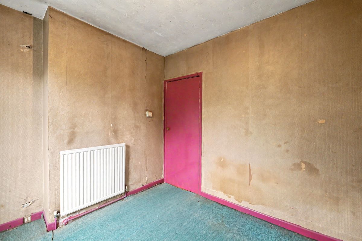 Image 15 of 19