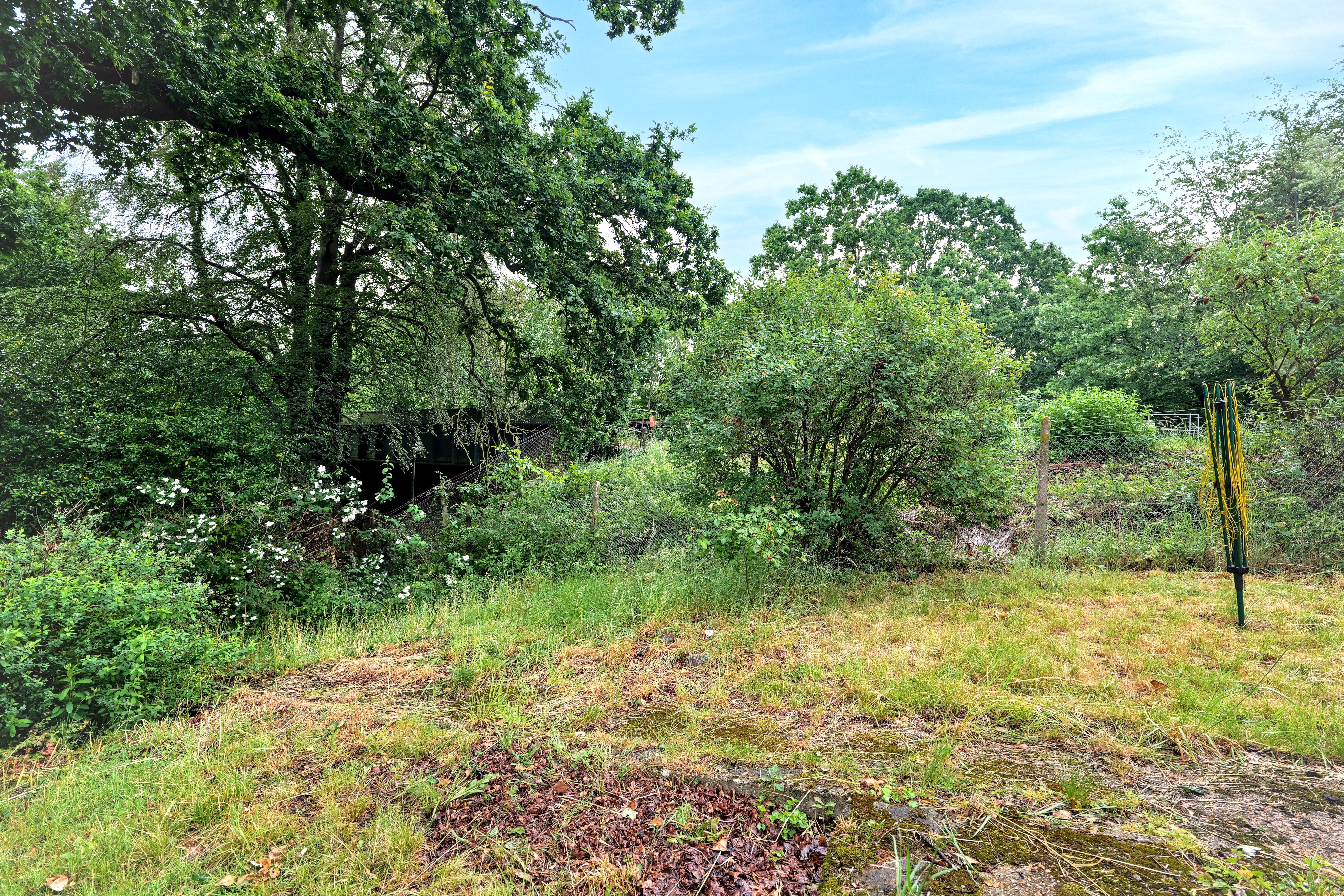 Image 17 of 19