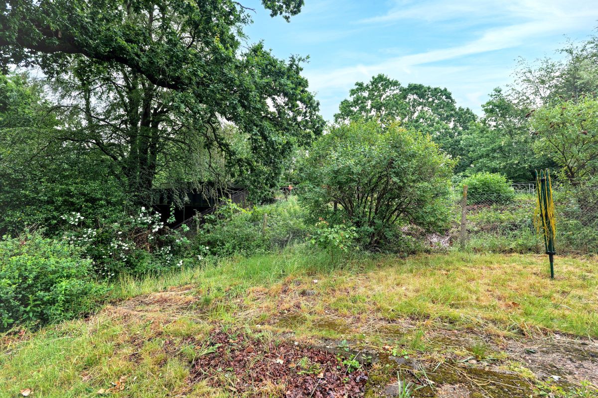 Image 17 of 19