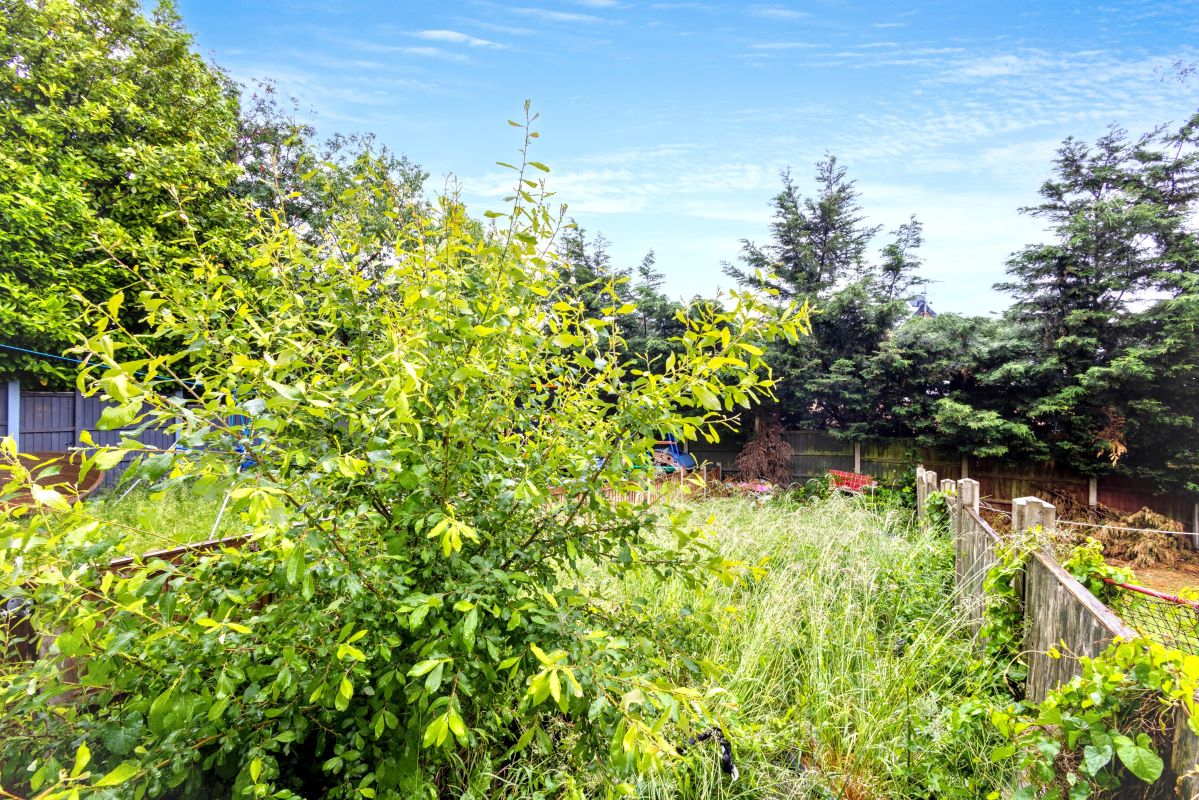 Image 16 of 18
