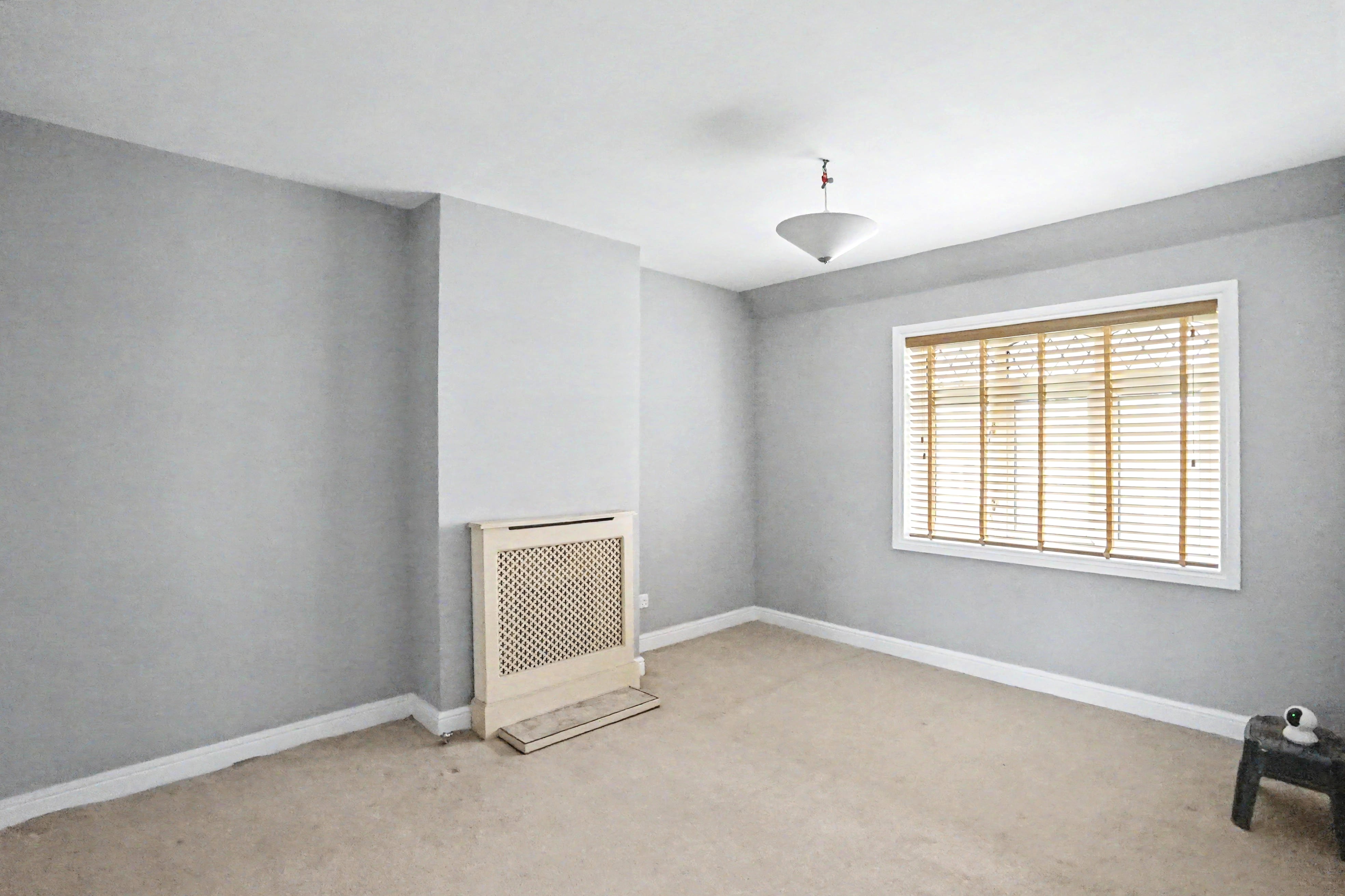 Image 11 of 21