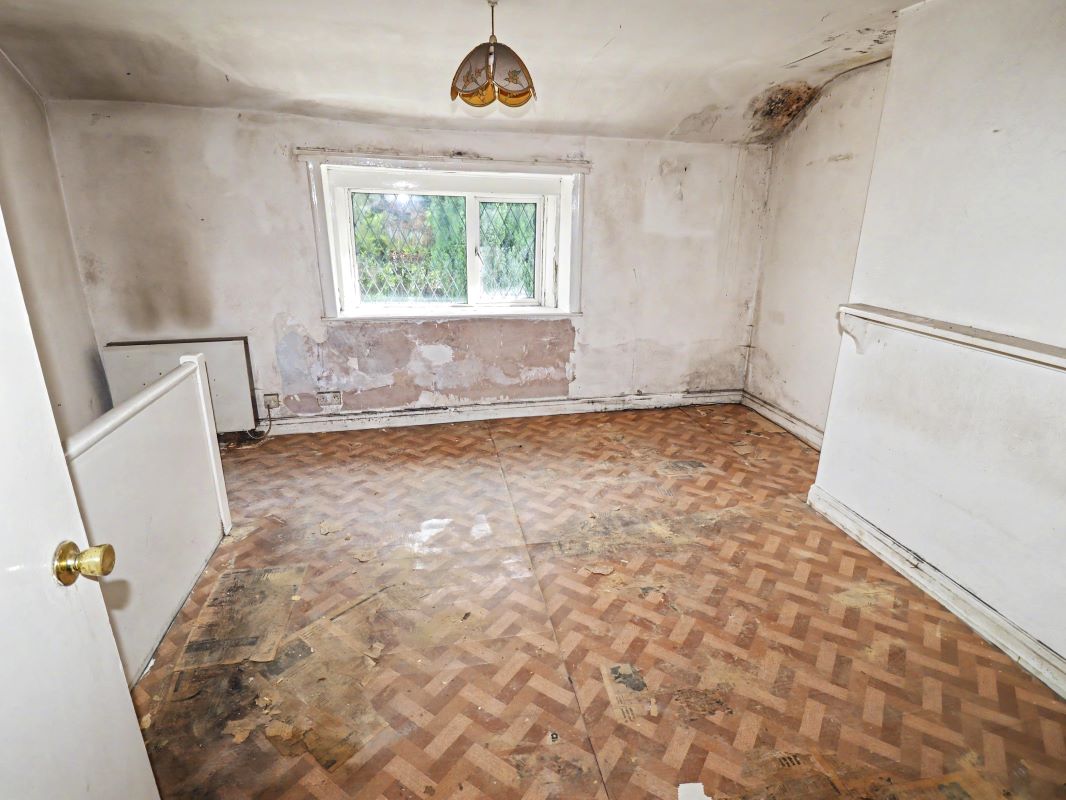 Image 8 of 14