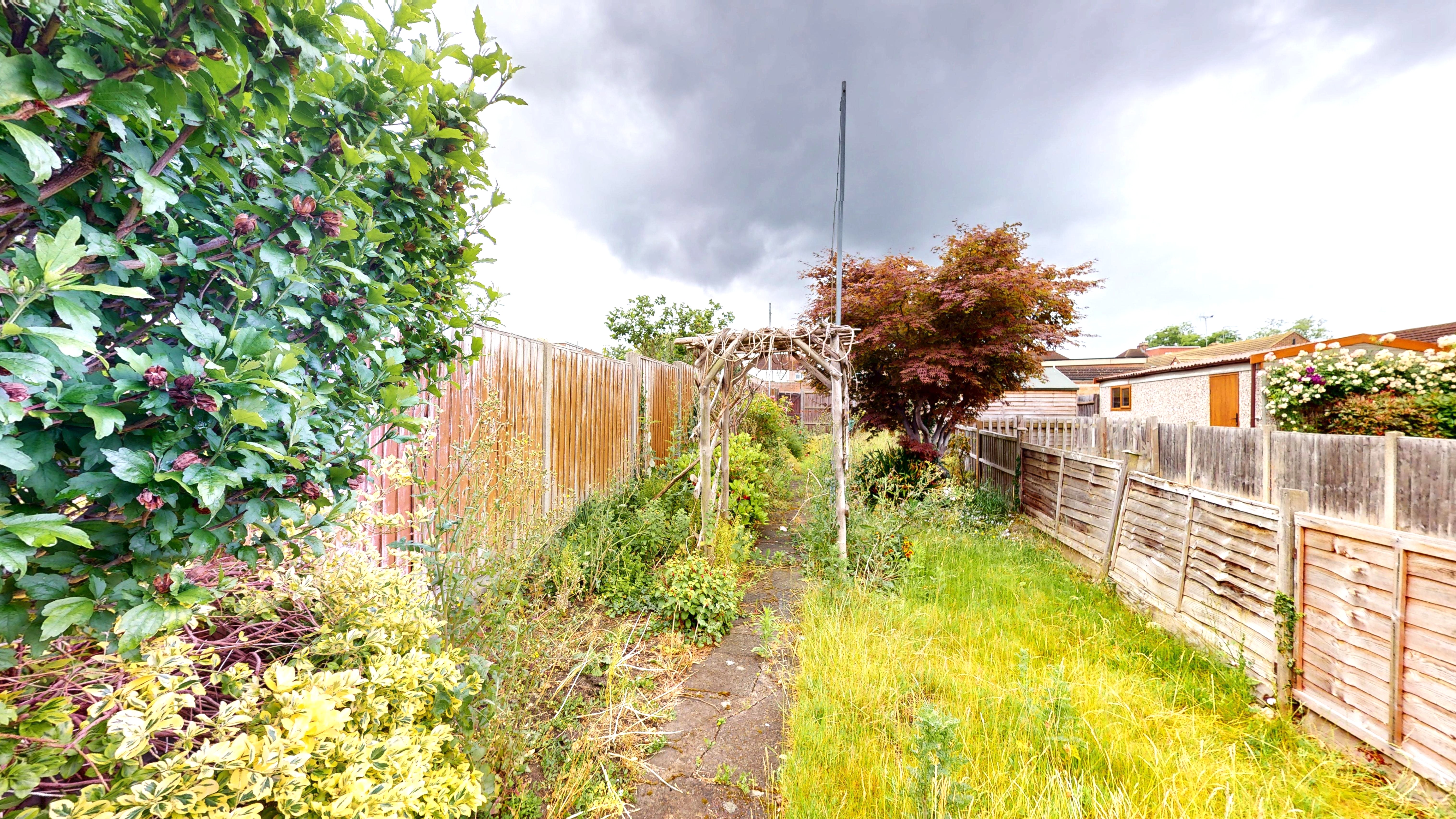 Image 10 of 12