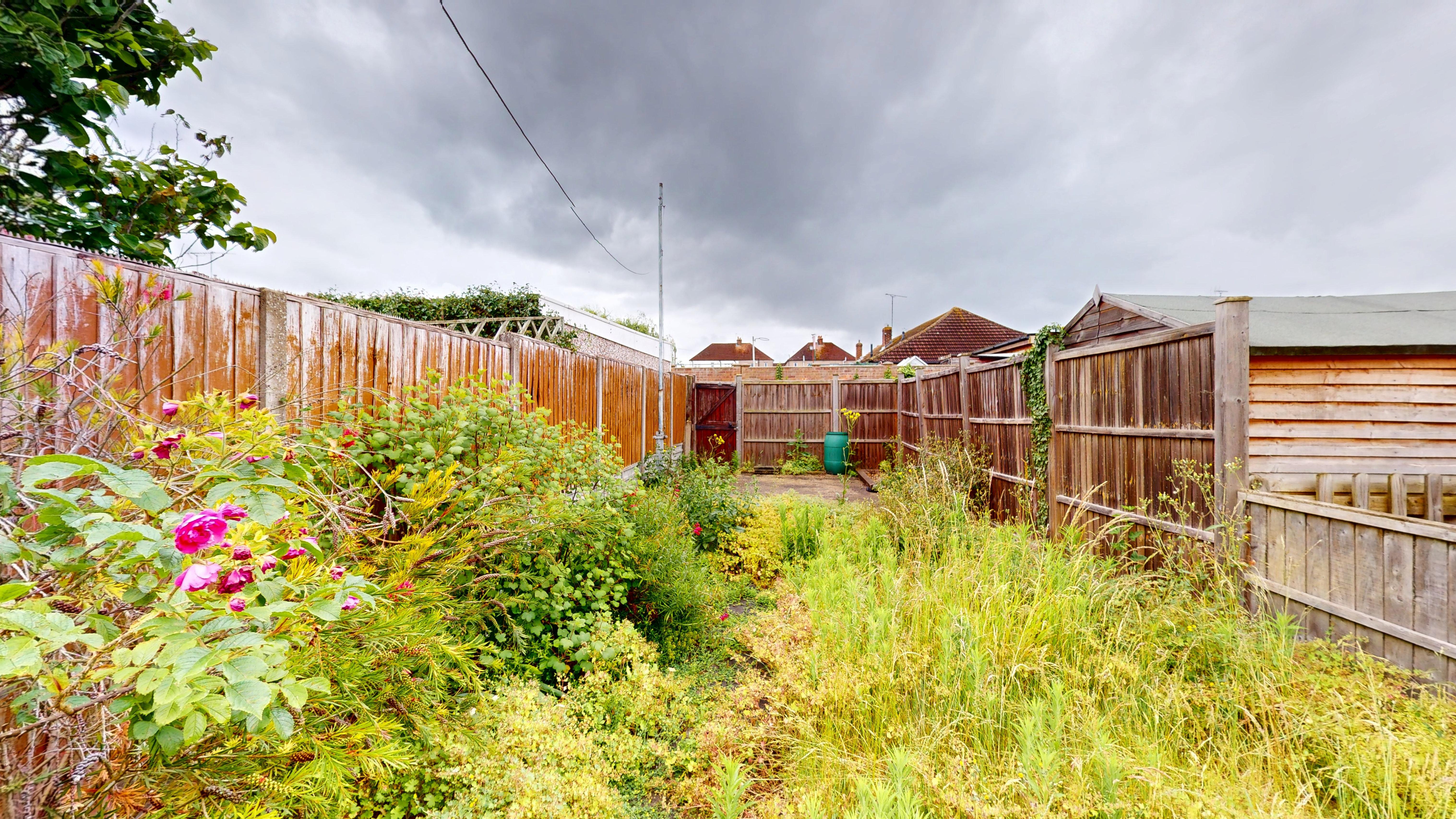 Image 11 of 12