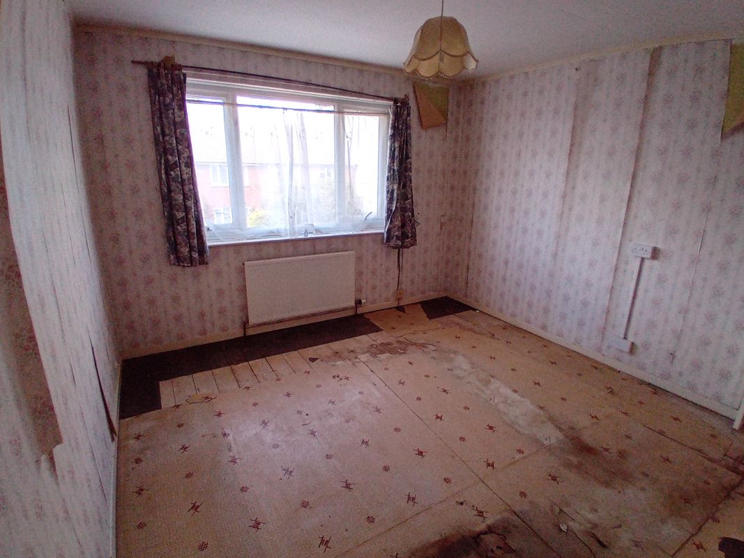 Image 4 of 11