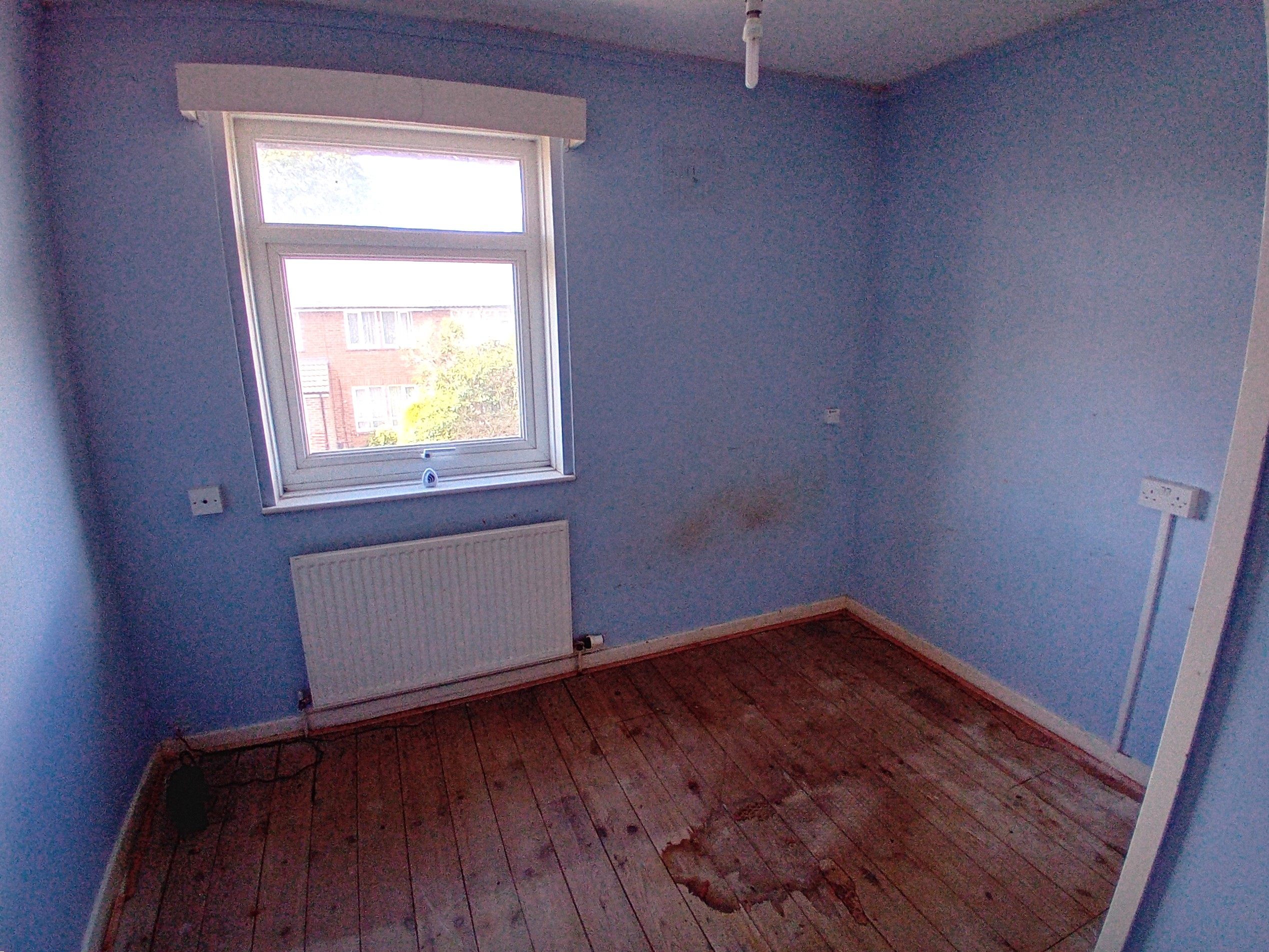Image 6 of 11