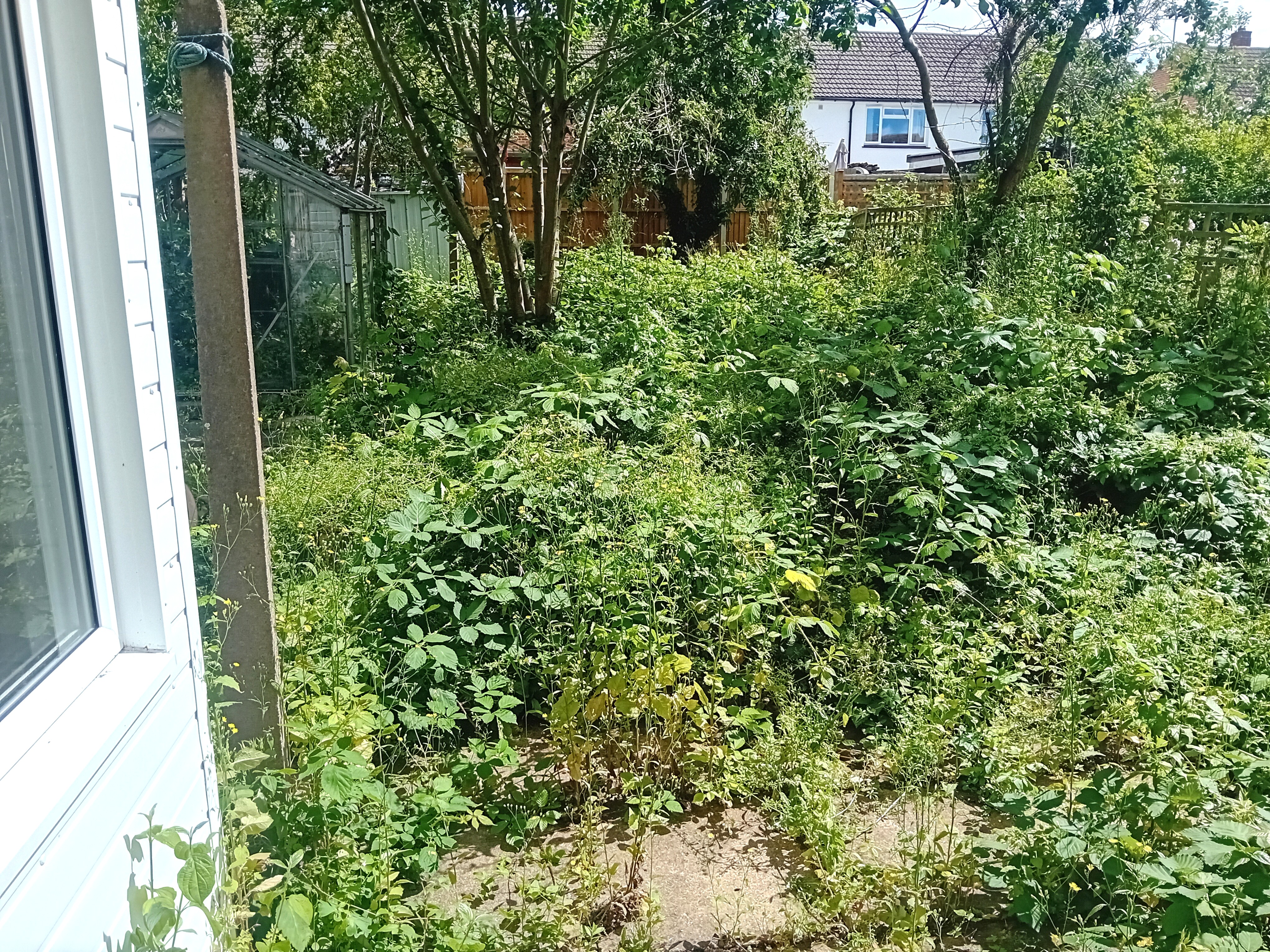 Image 10 of 11