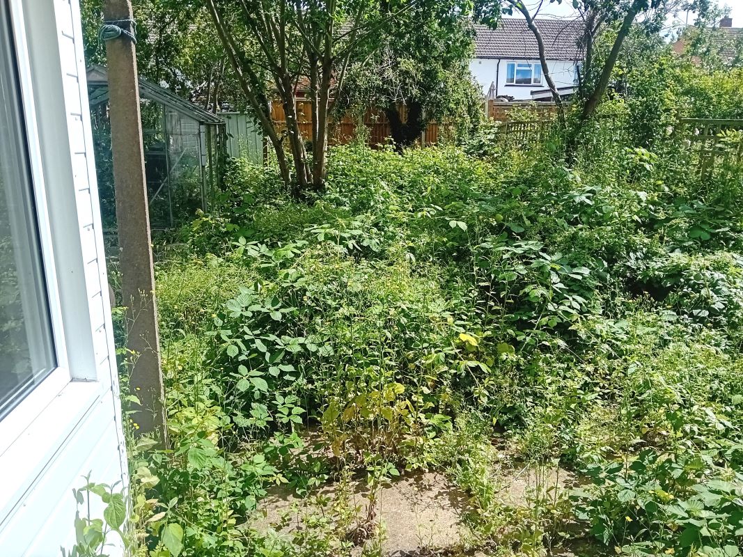 Image 10 of 11