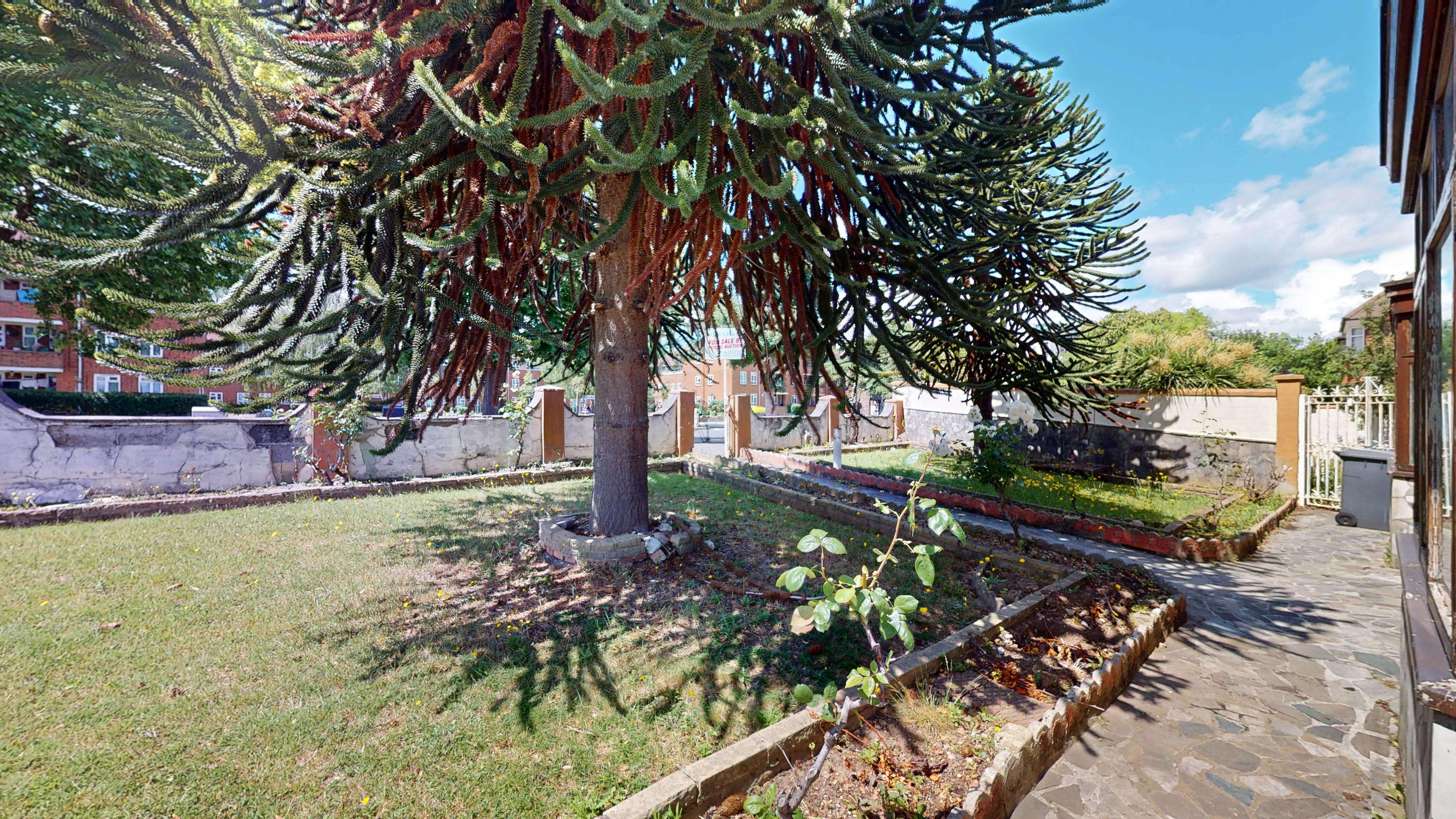 Image 25 of 27