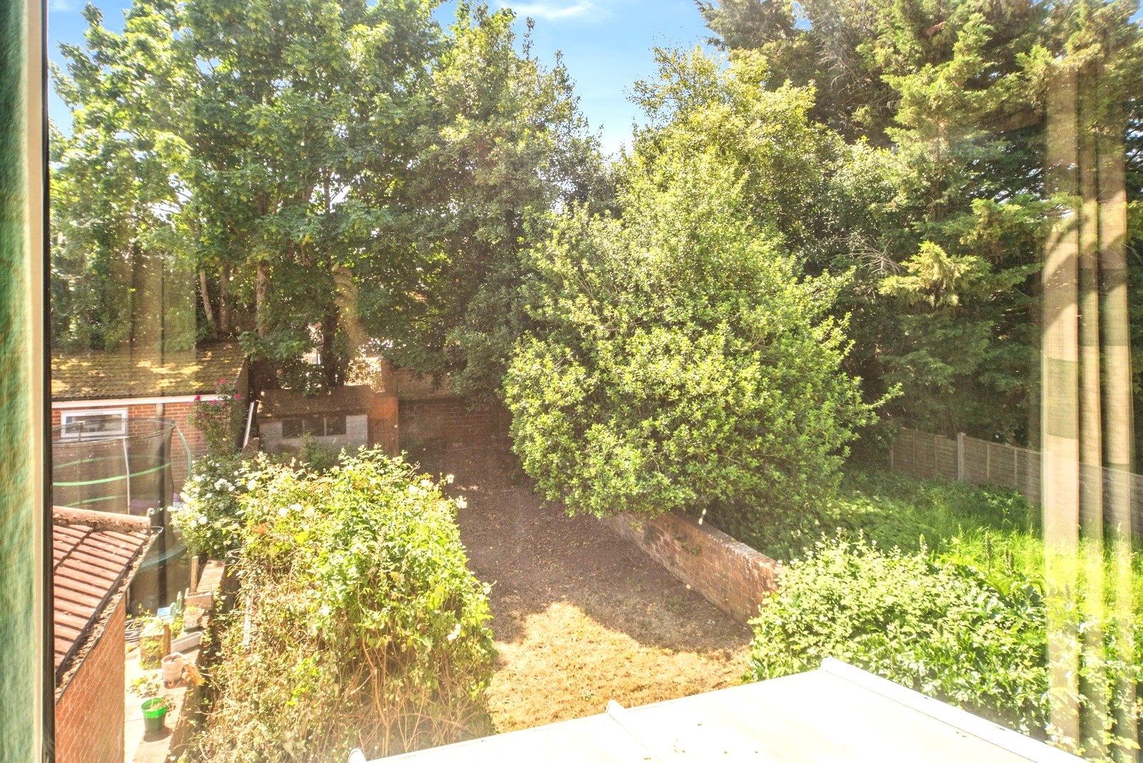 Image 12 of 12