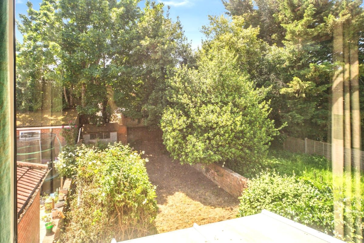 Image 12 of 12
