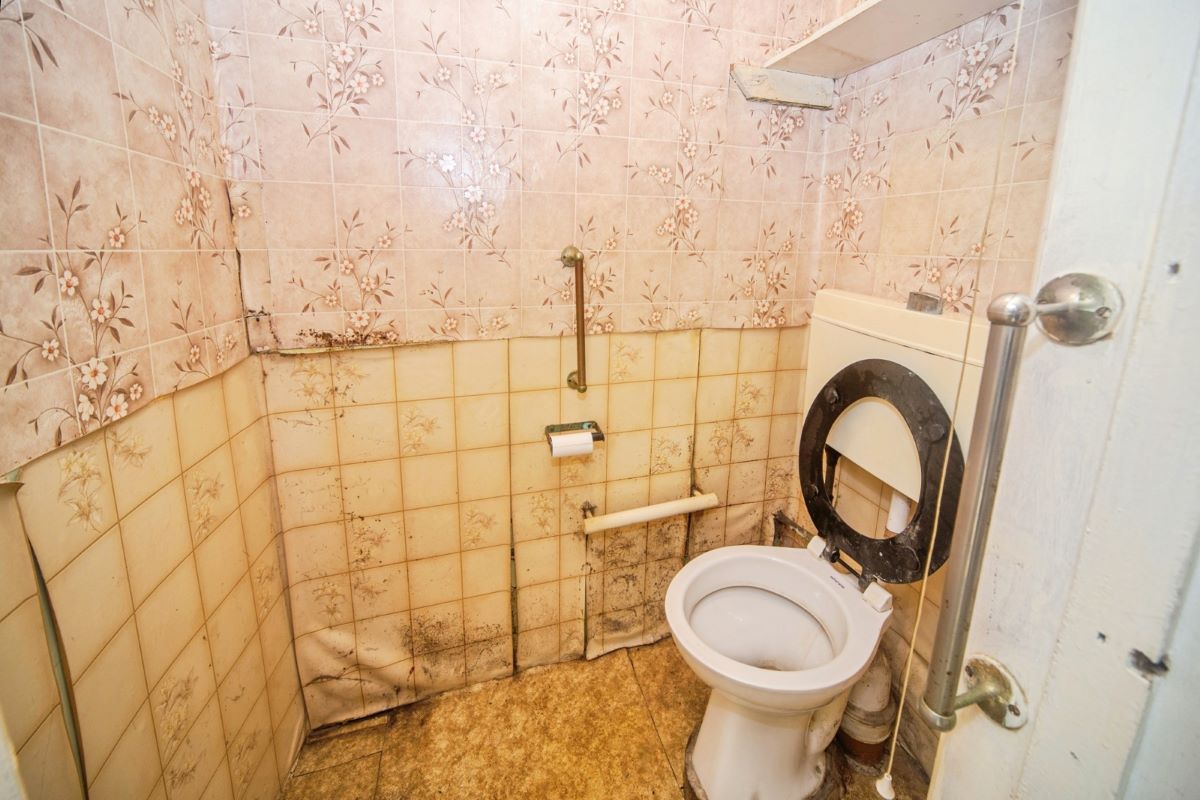 Image 11 of 12