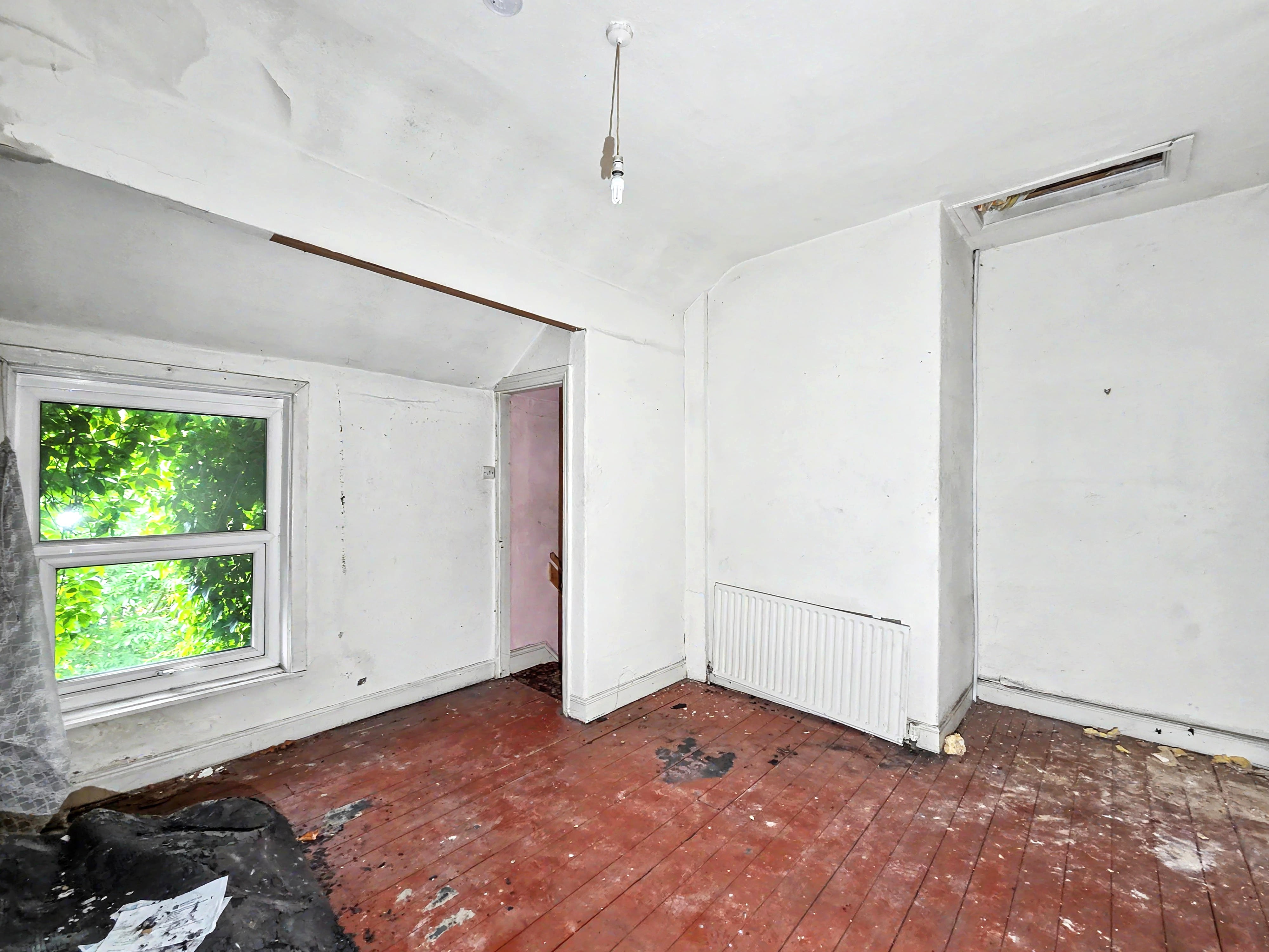 Image 12 of 20