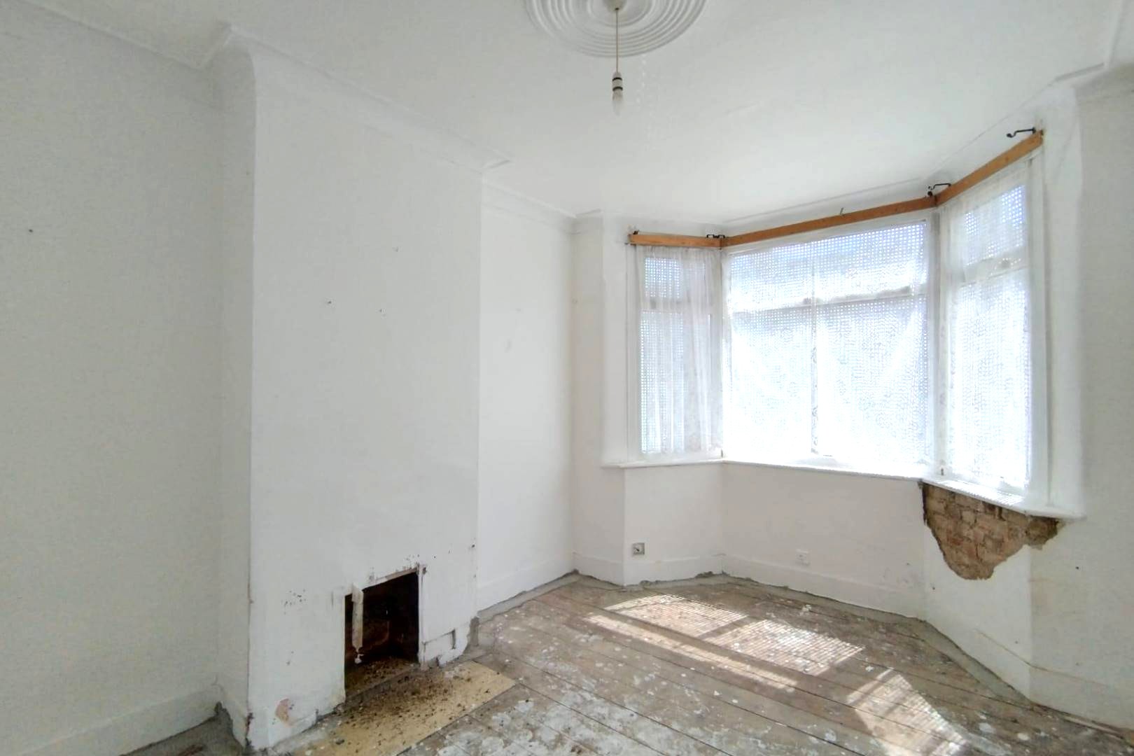 Image 2 of 12