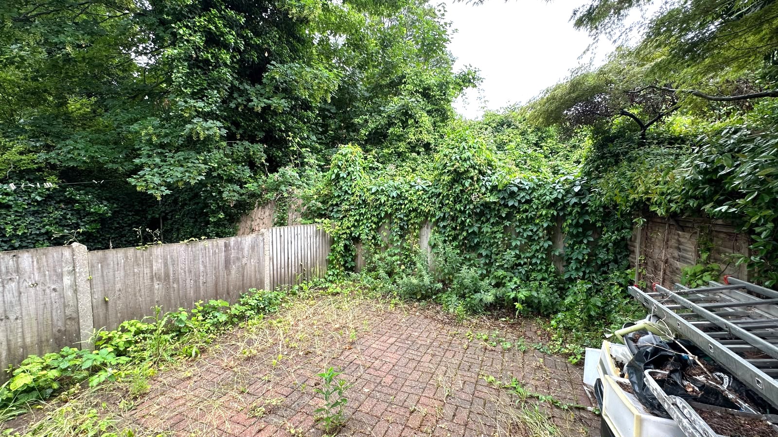 Image 14 of 15