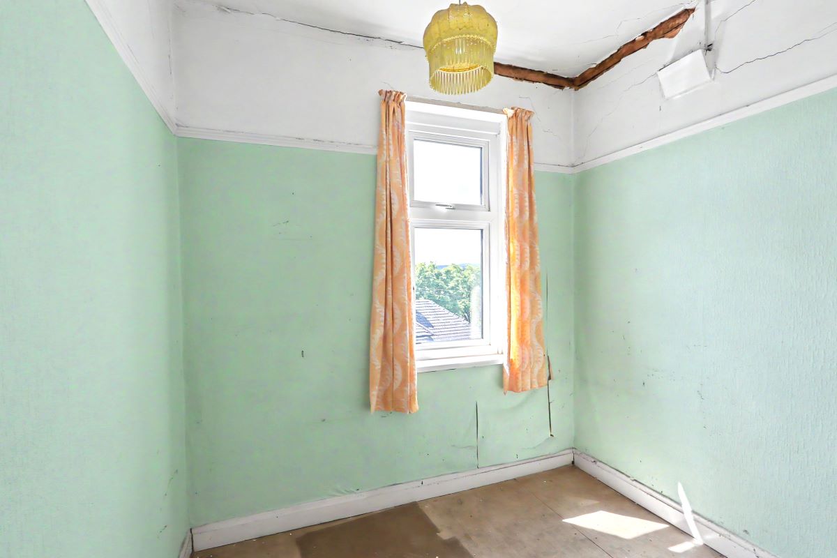Image 12 of 16