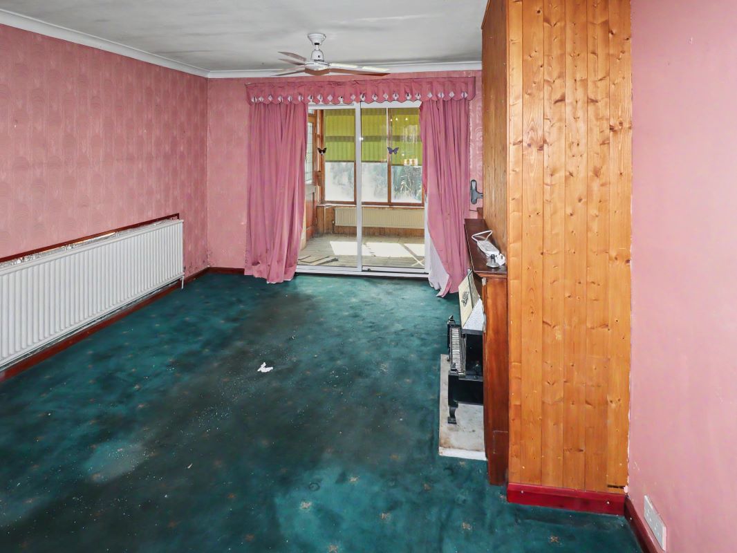 Image 3 of 19
