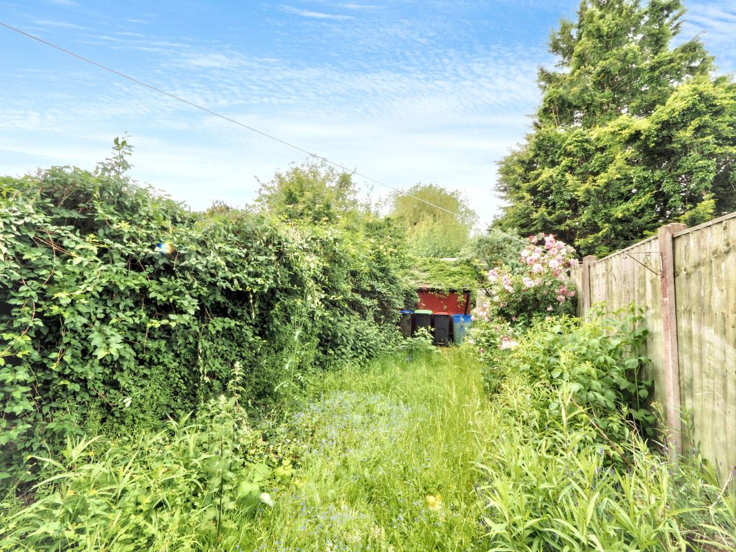 Image 19 of 21