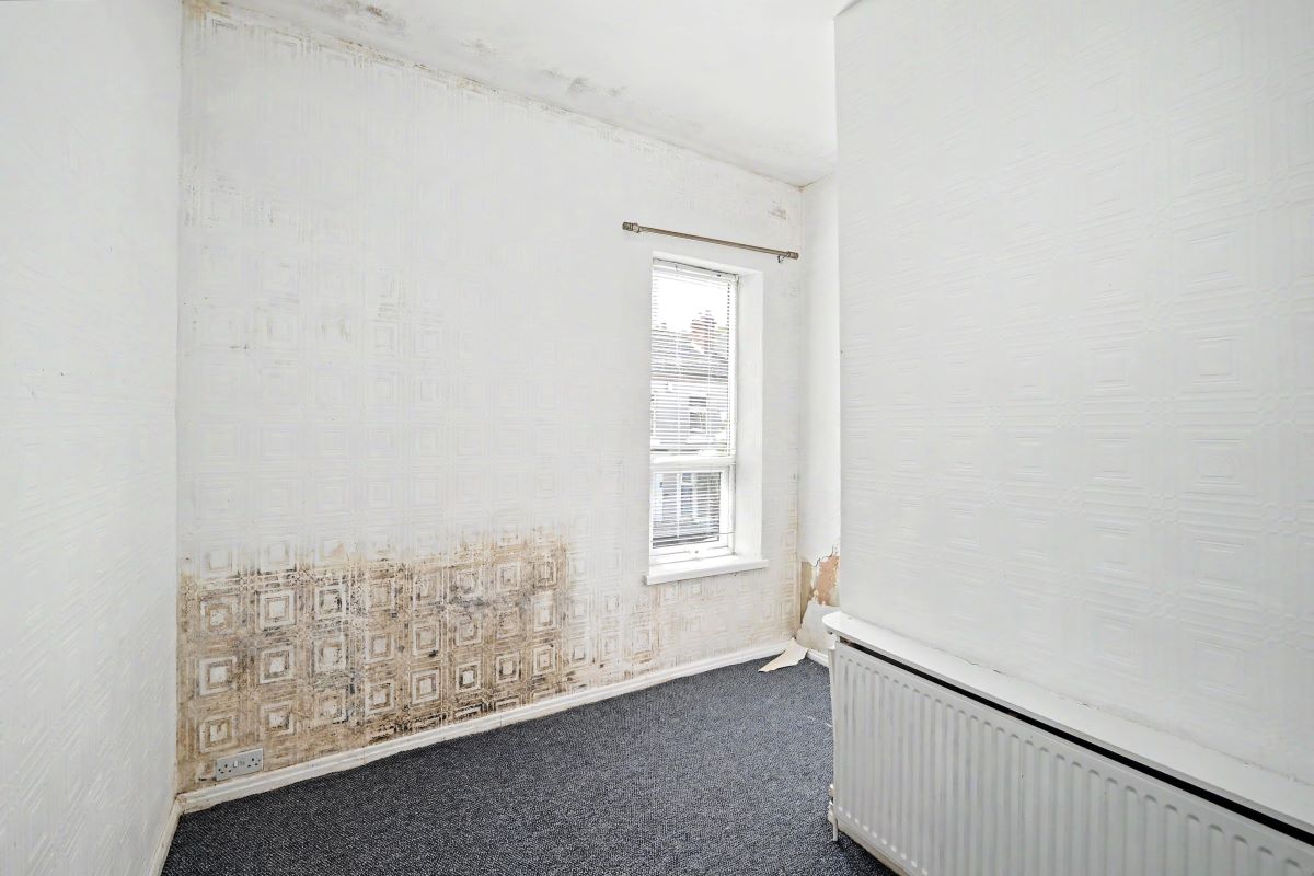 Image 10 of 14