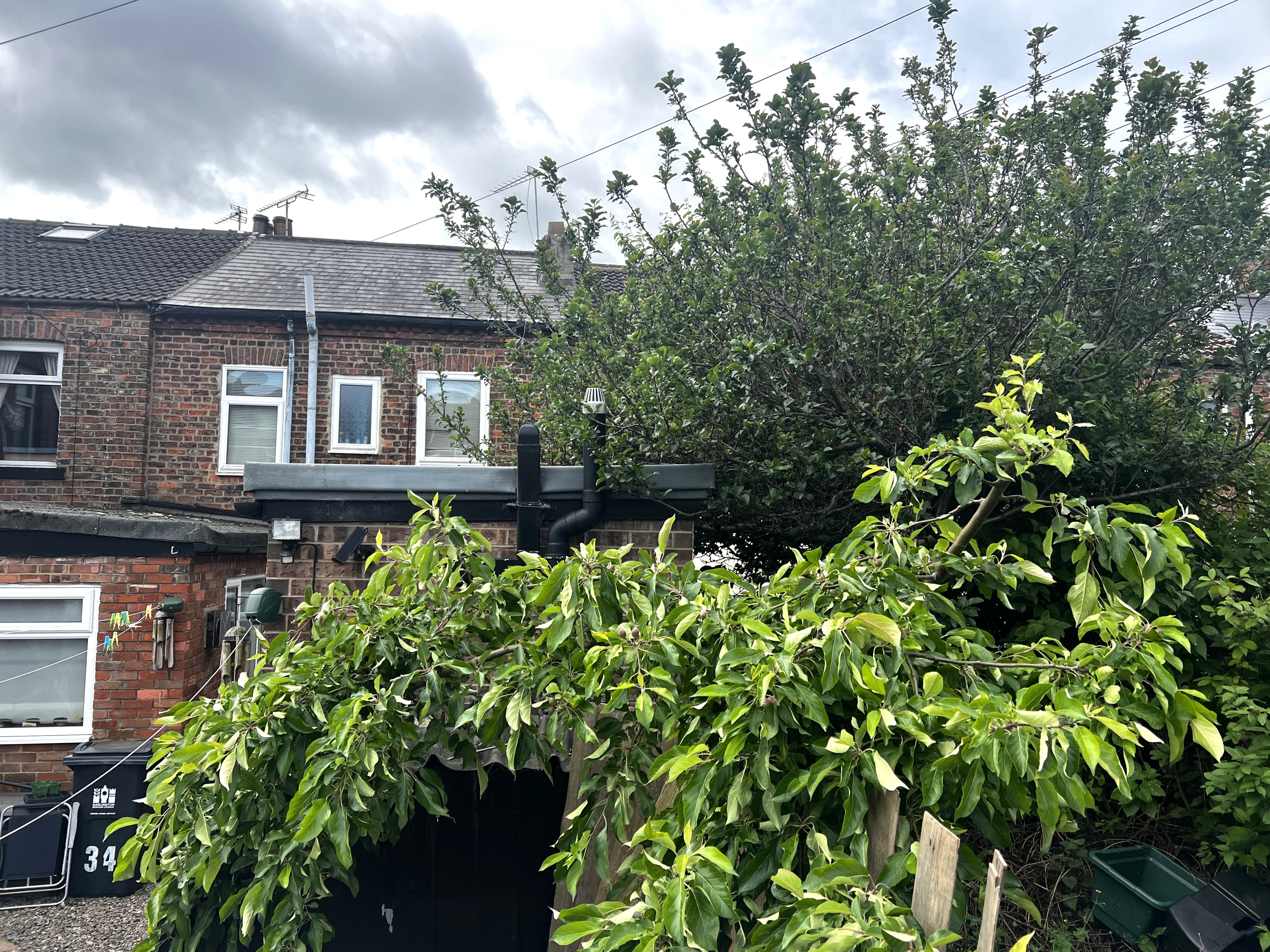 Image 13 of 14
