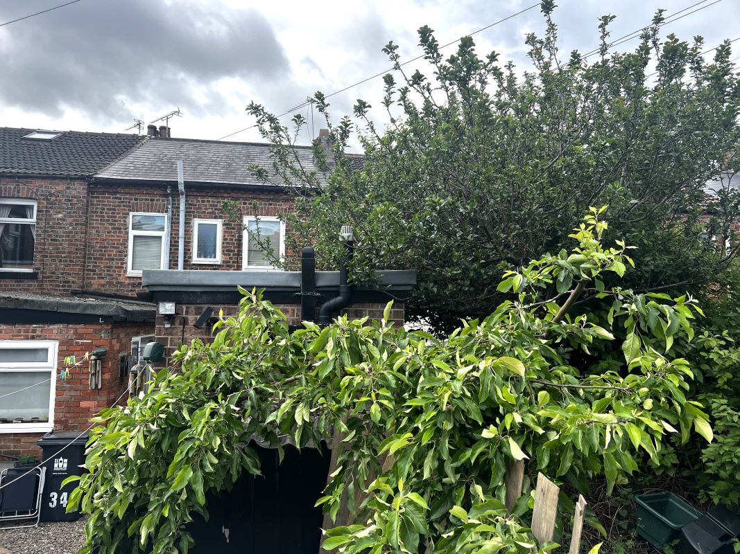 Image 13 of 14