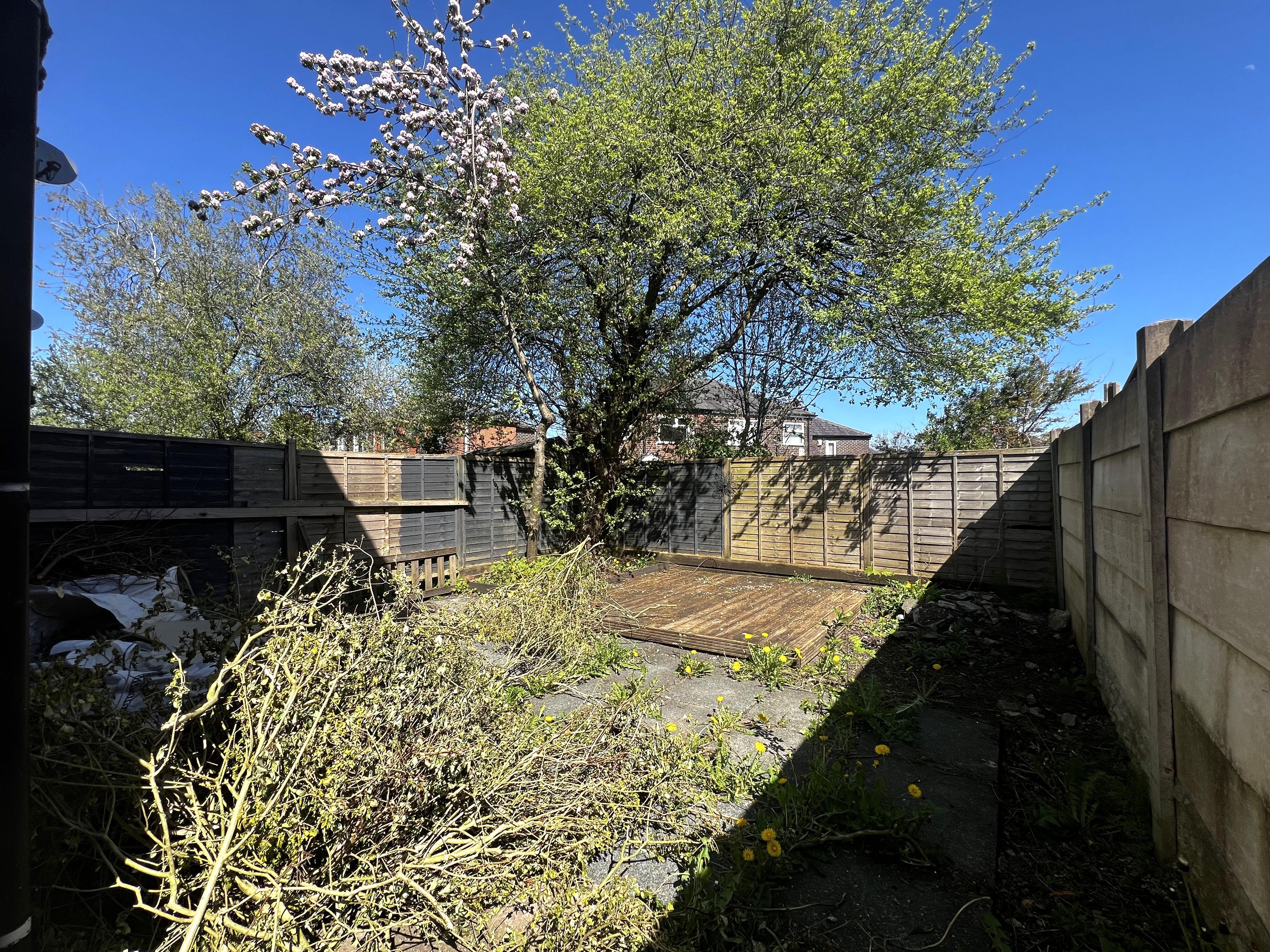 Image 10 of 12