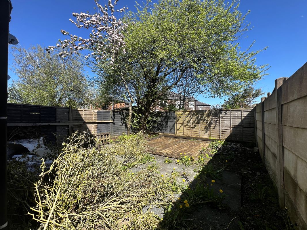 Image 10 of 12