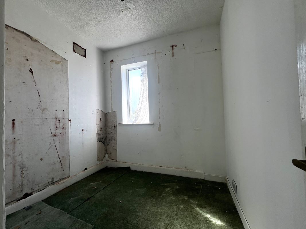 Image 8 of 12