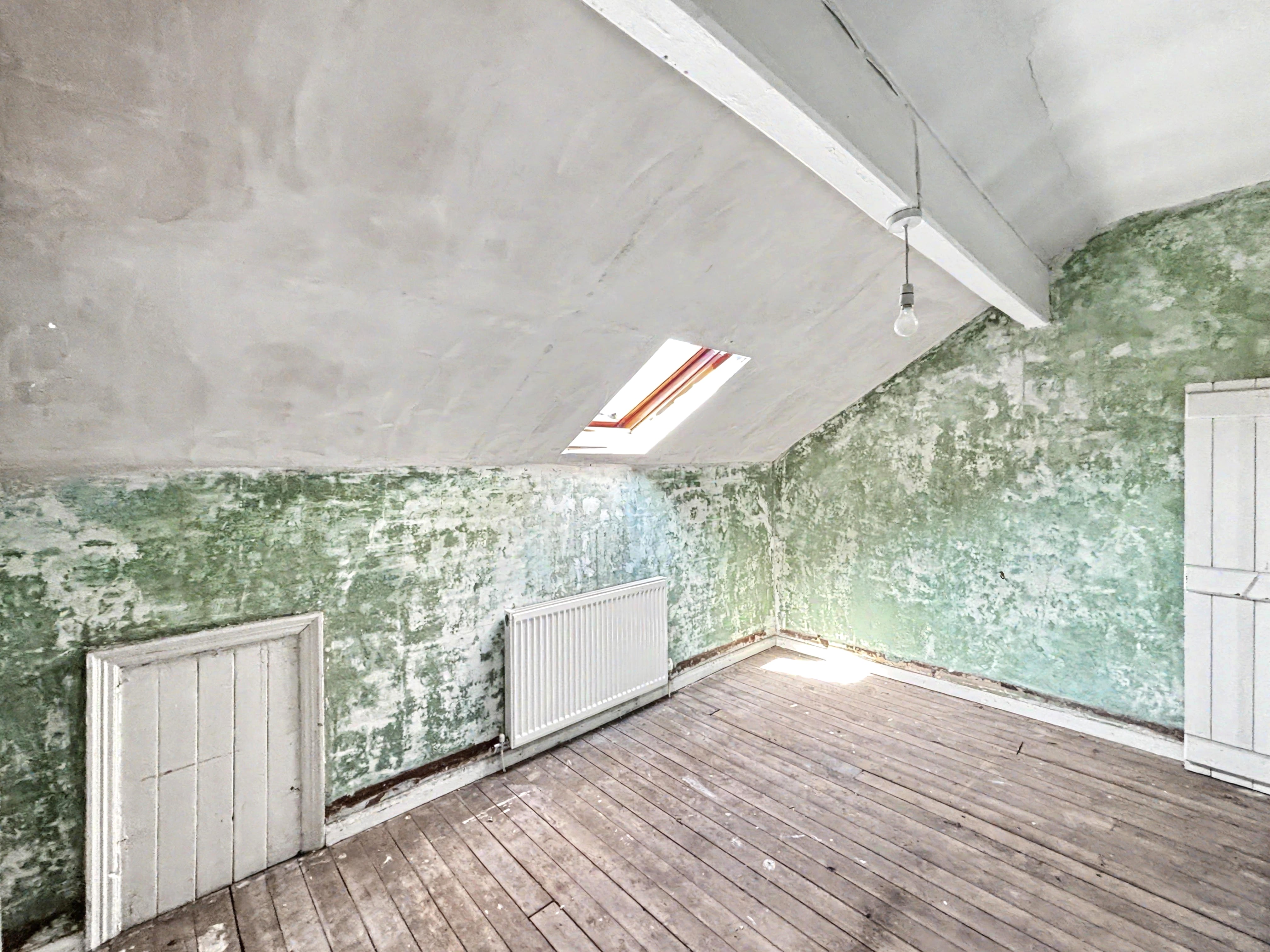 Image 11 of 19