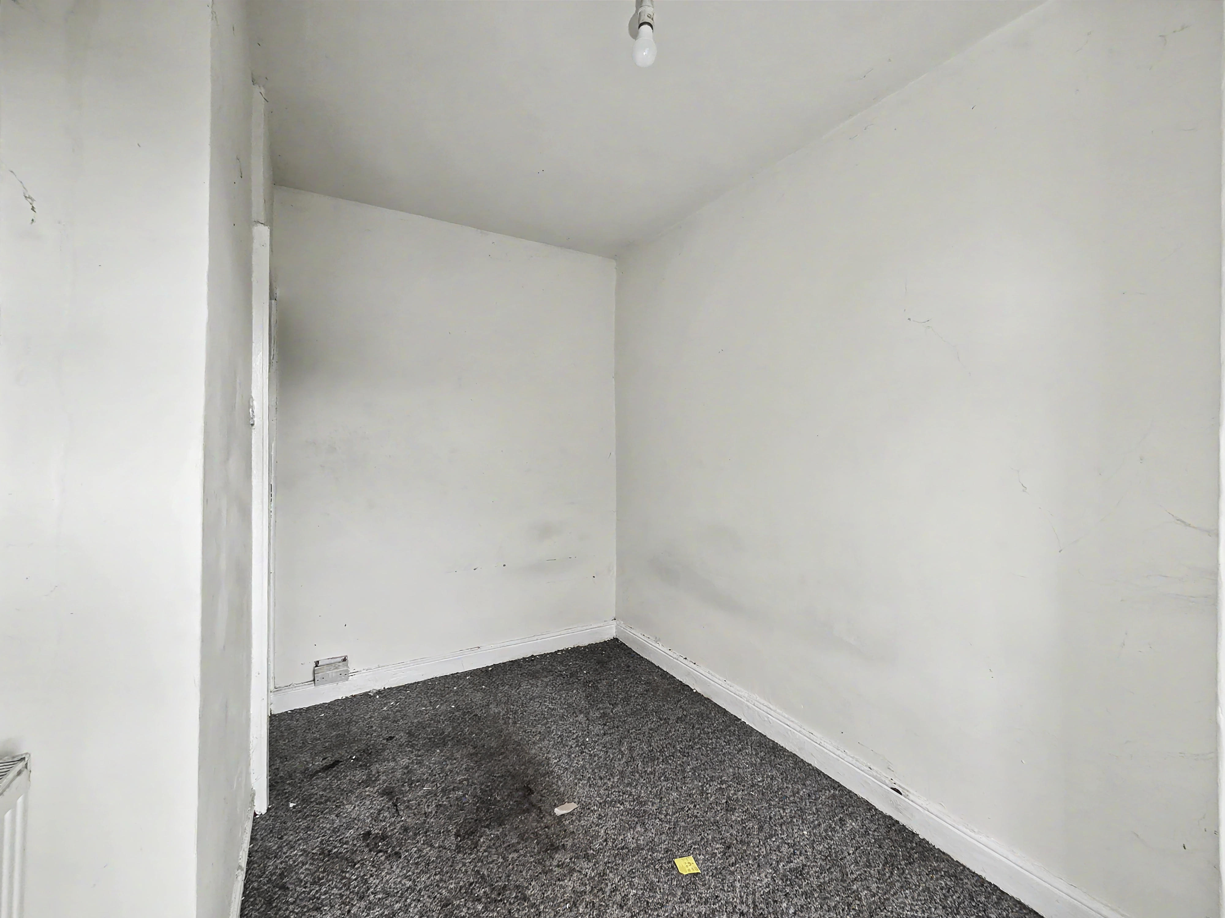 Image 10 of 16