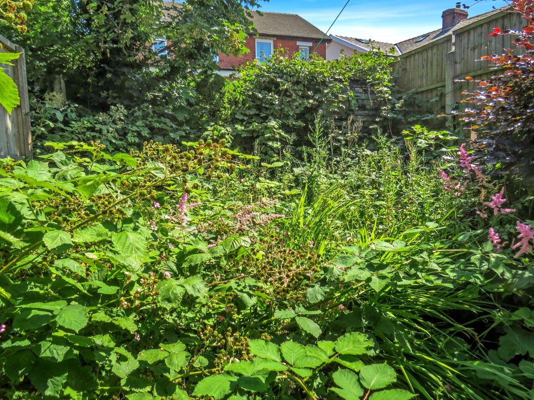 Image 15 of 16