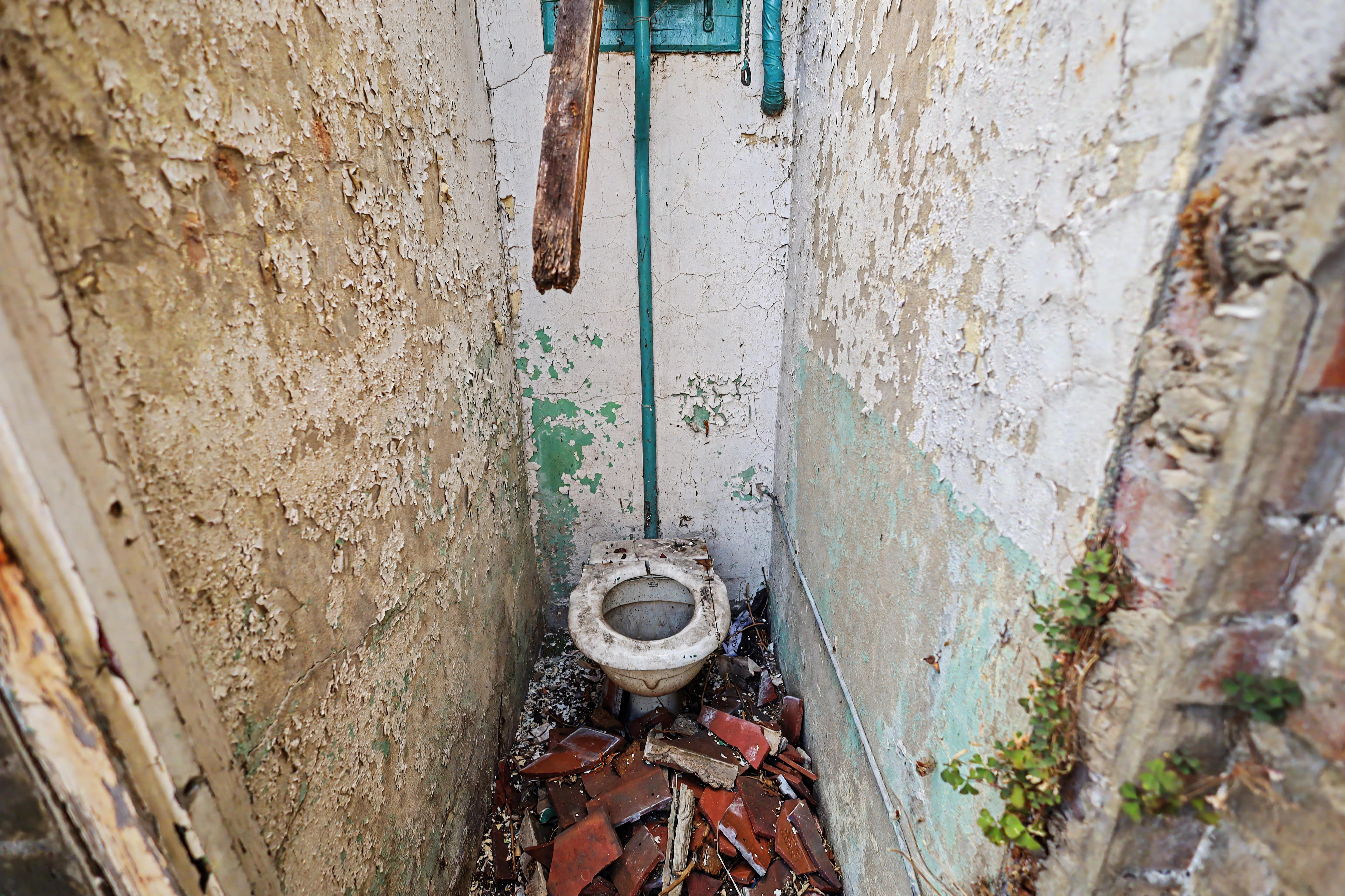 Image 19 of 22