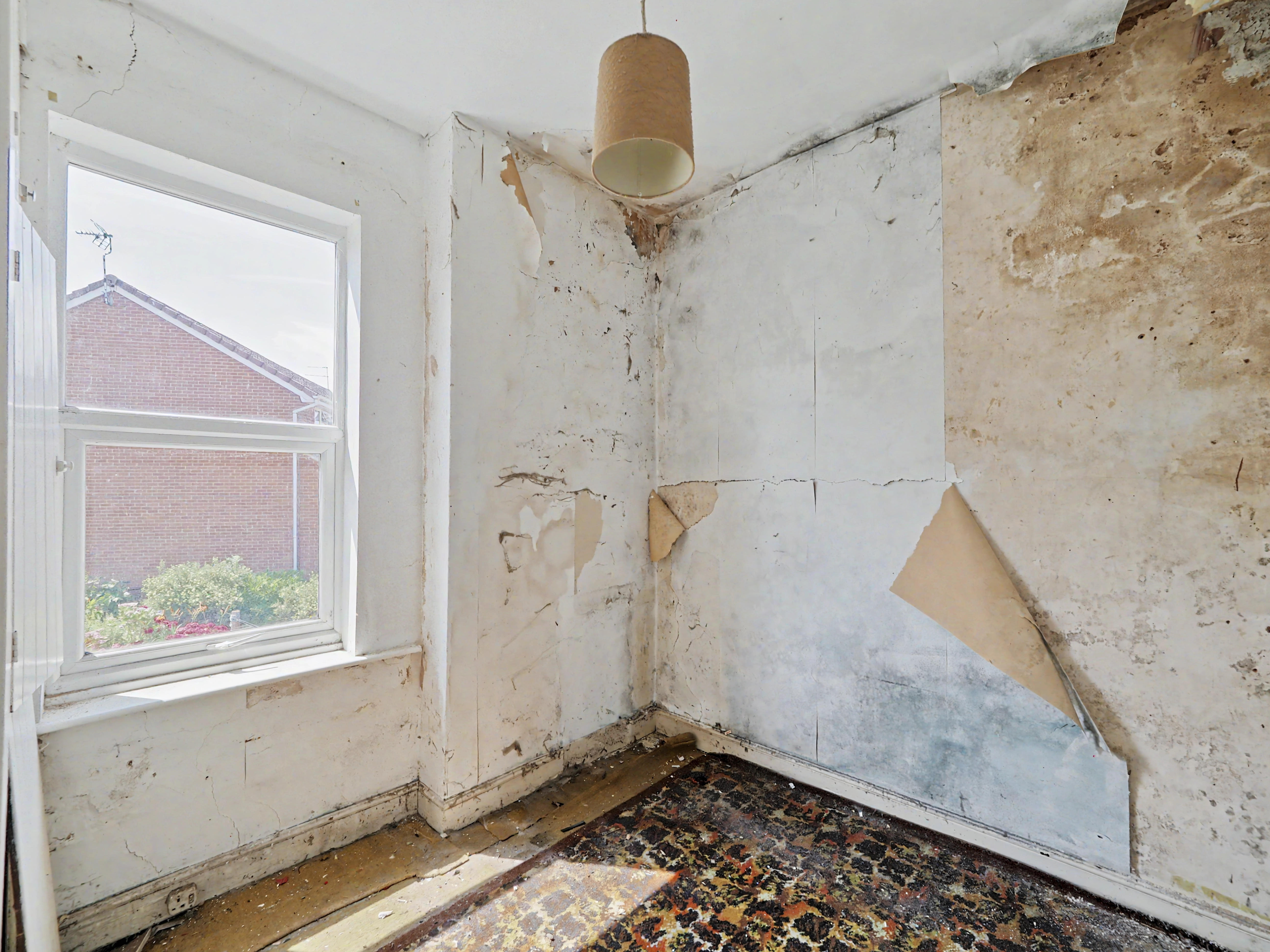 Image 15 of 22