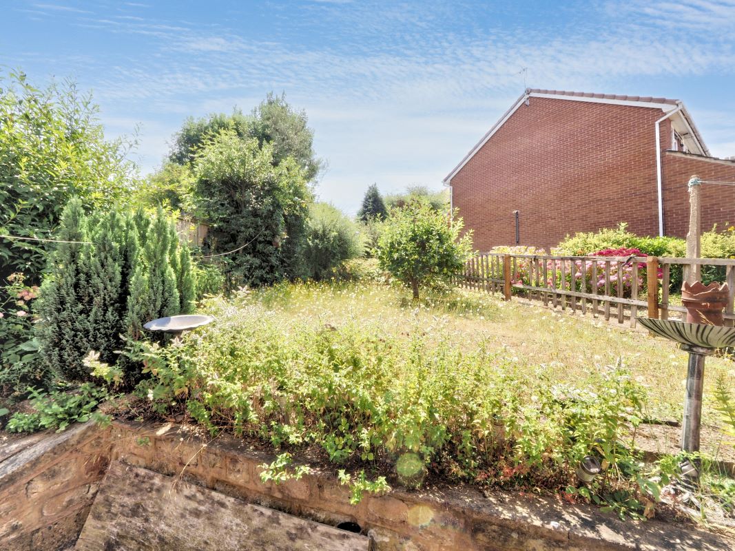 Image 20 of 22
