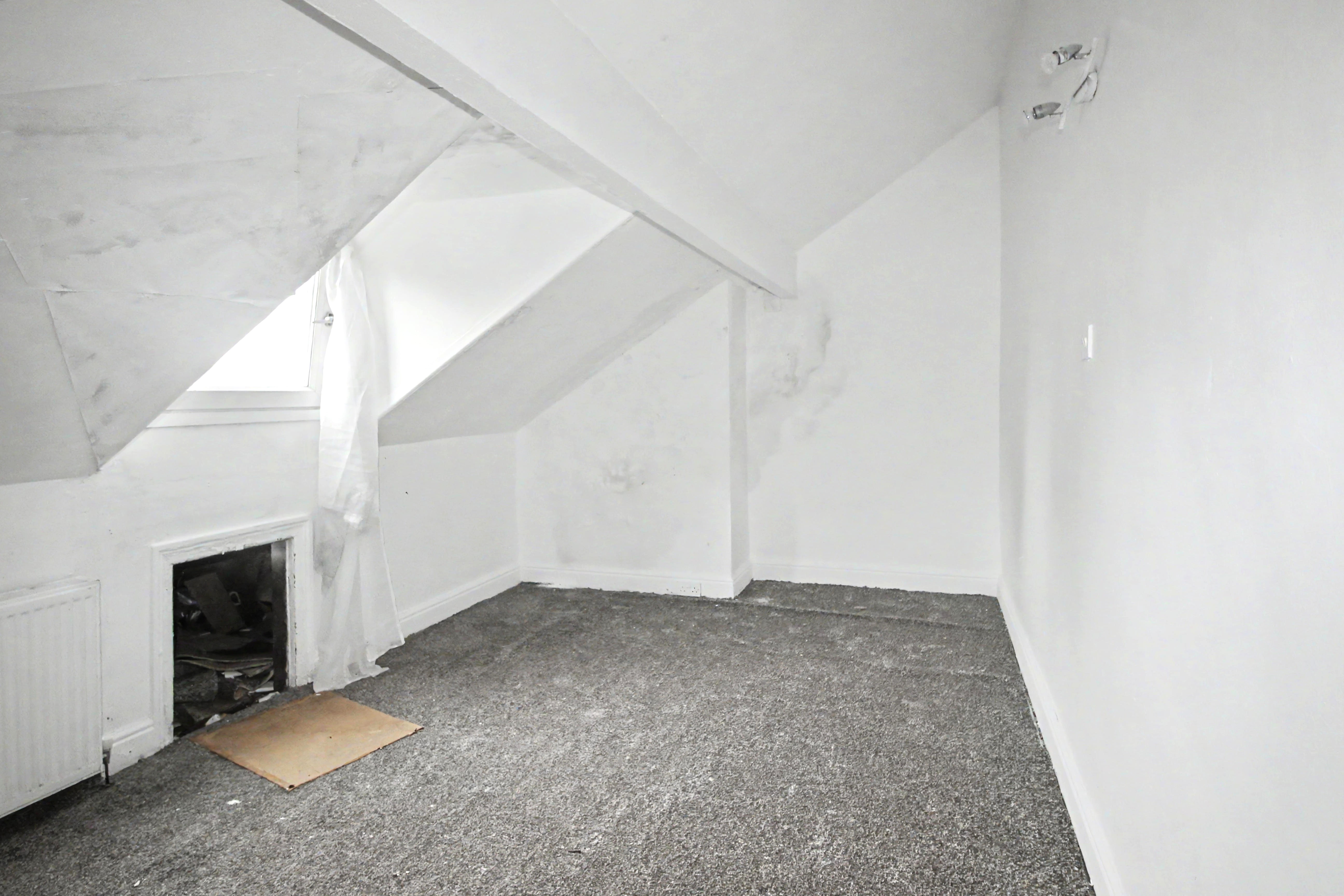 Image 10 of 16